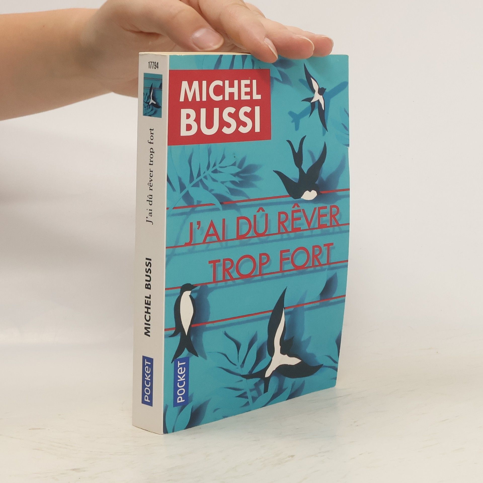 Michel Bussi J'ai dû rêver trop fort