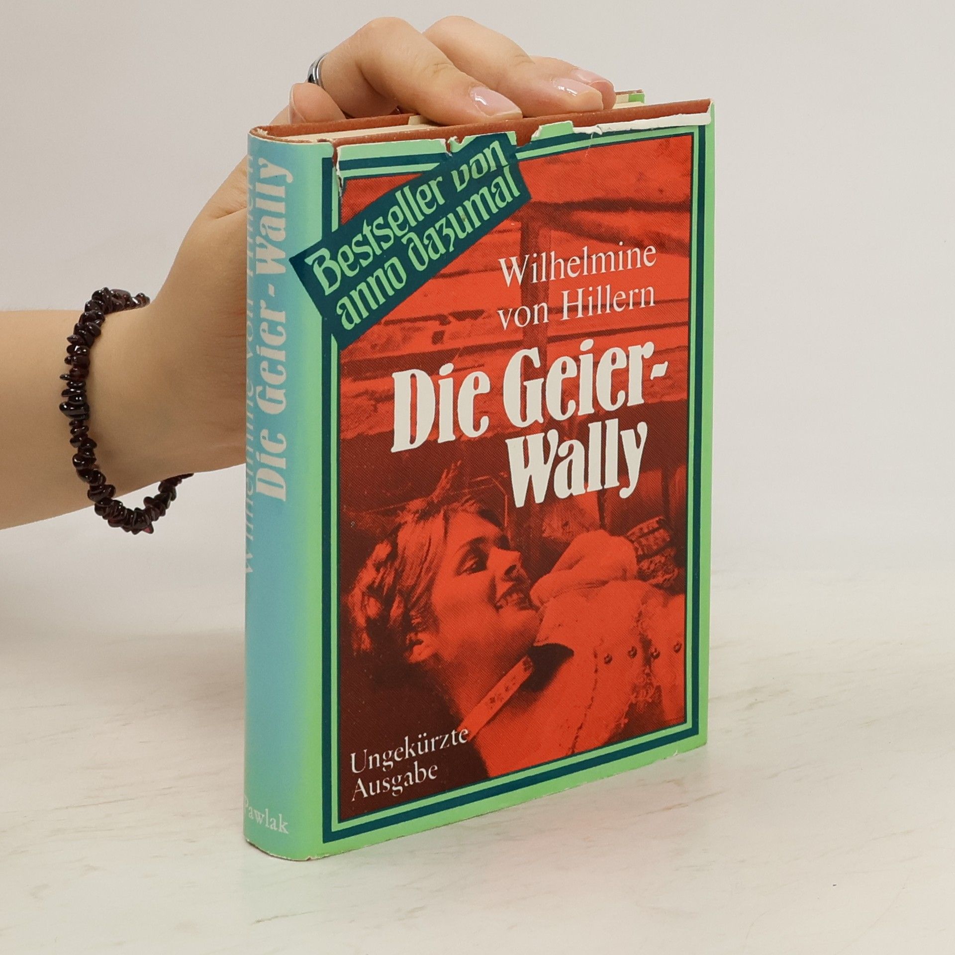 Wilhelmine von Hillern Die Geierwally