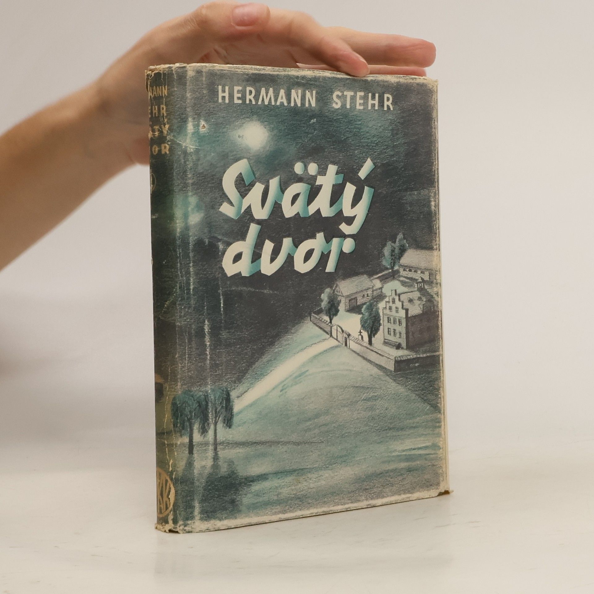Hermann Stehr Svätý dvor 1