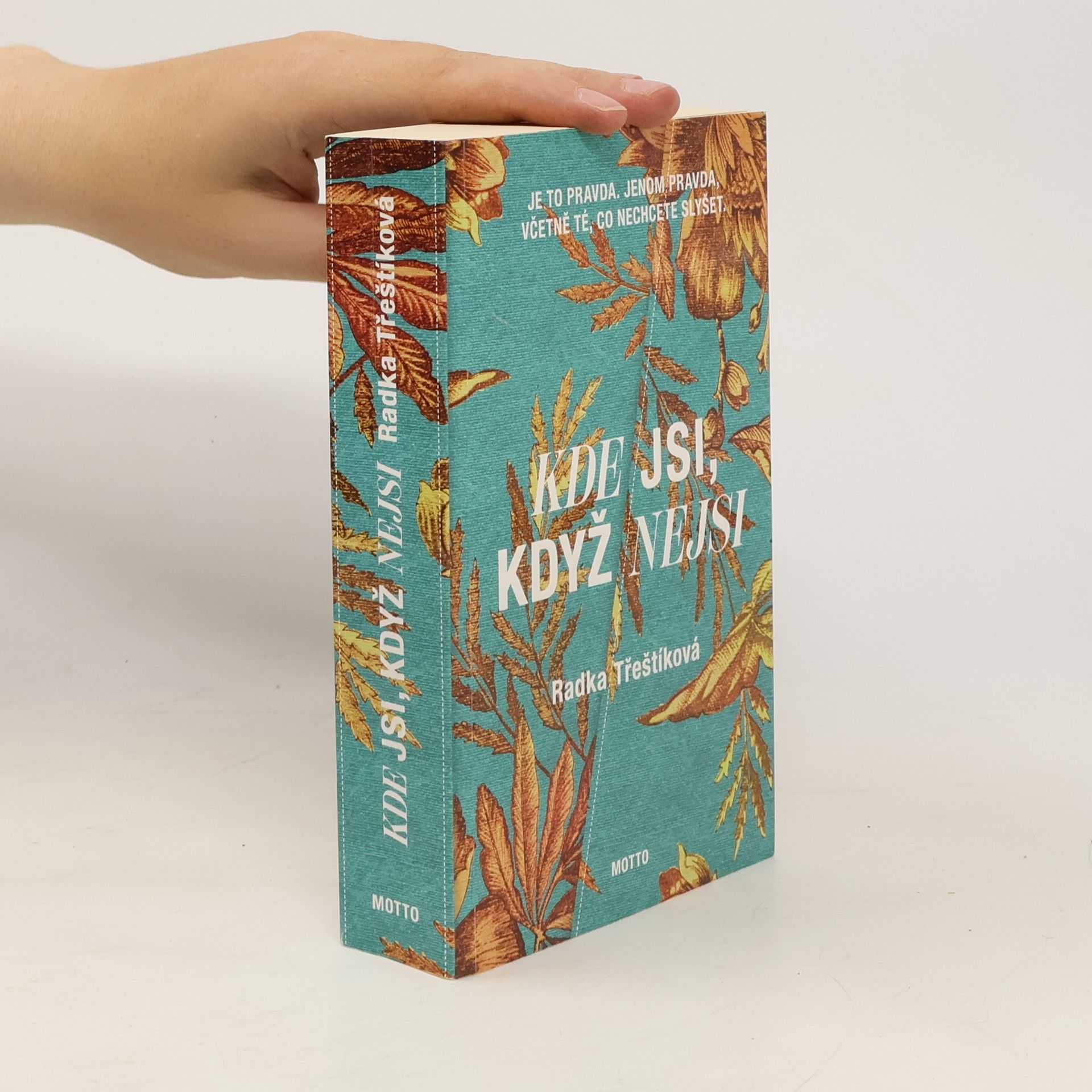 Radka Třeštíková Kde jsi, když nejsi