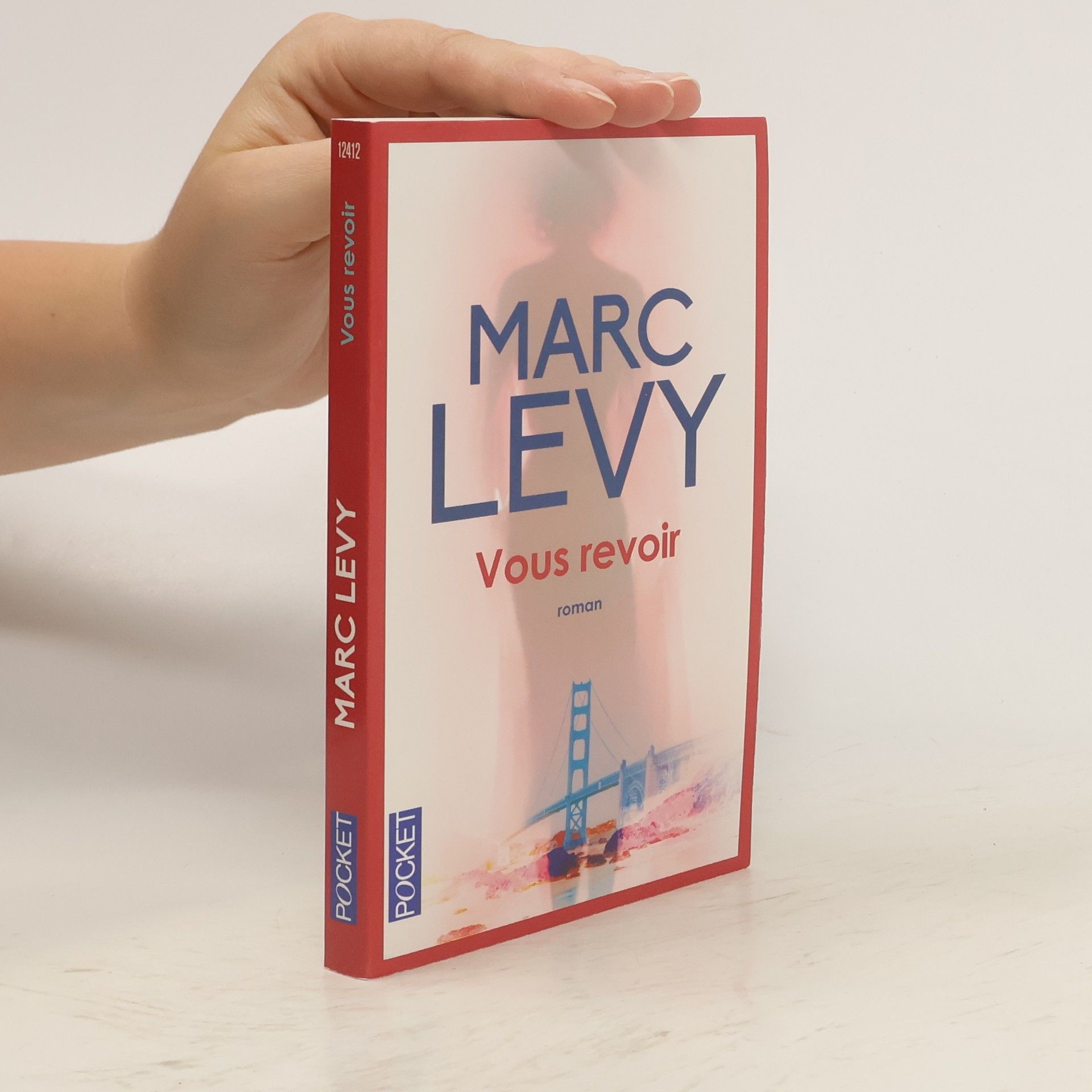 Marc Lévy Vous revoir