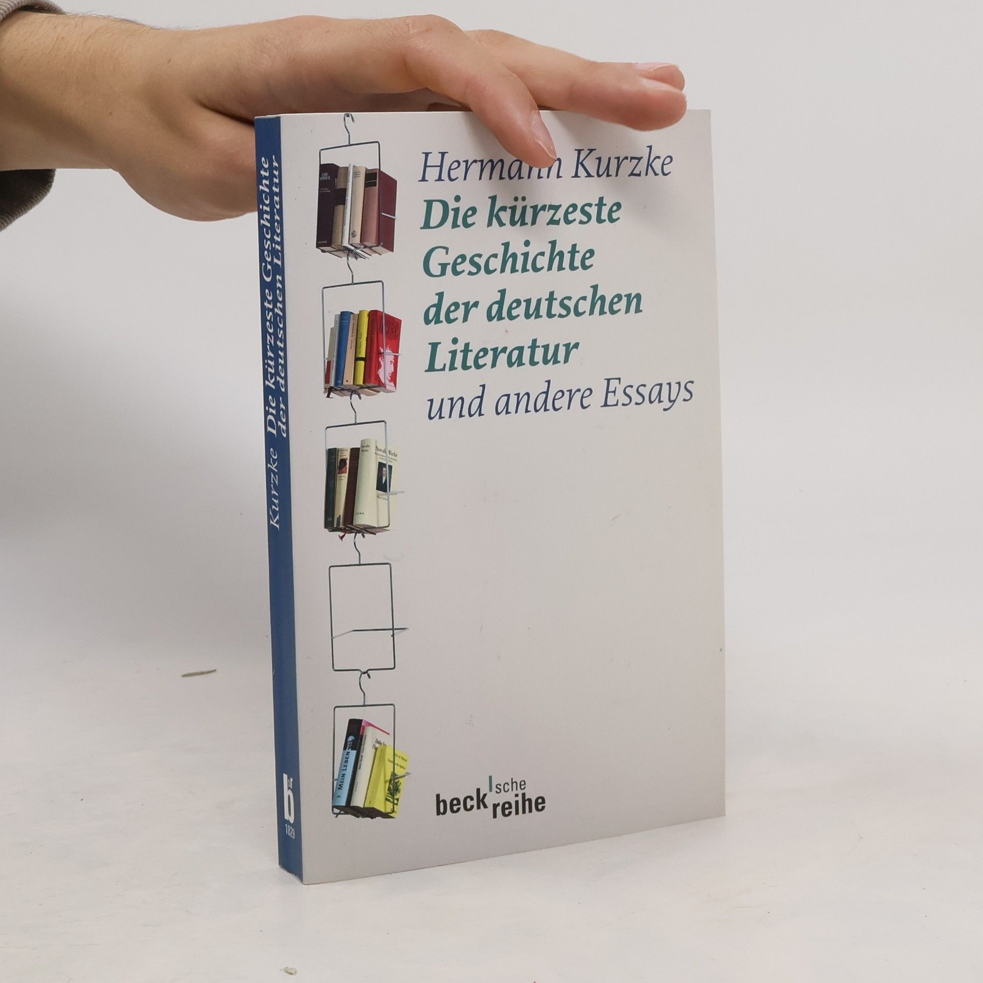 Hermann Kurzke Die kürzeste Geschichte der deutschen Literatur und andere Essays