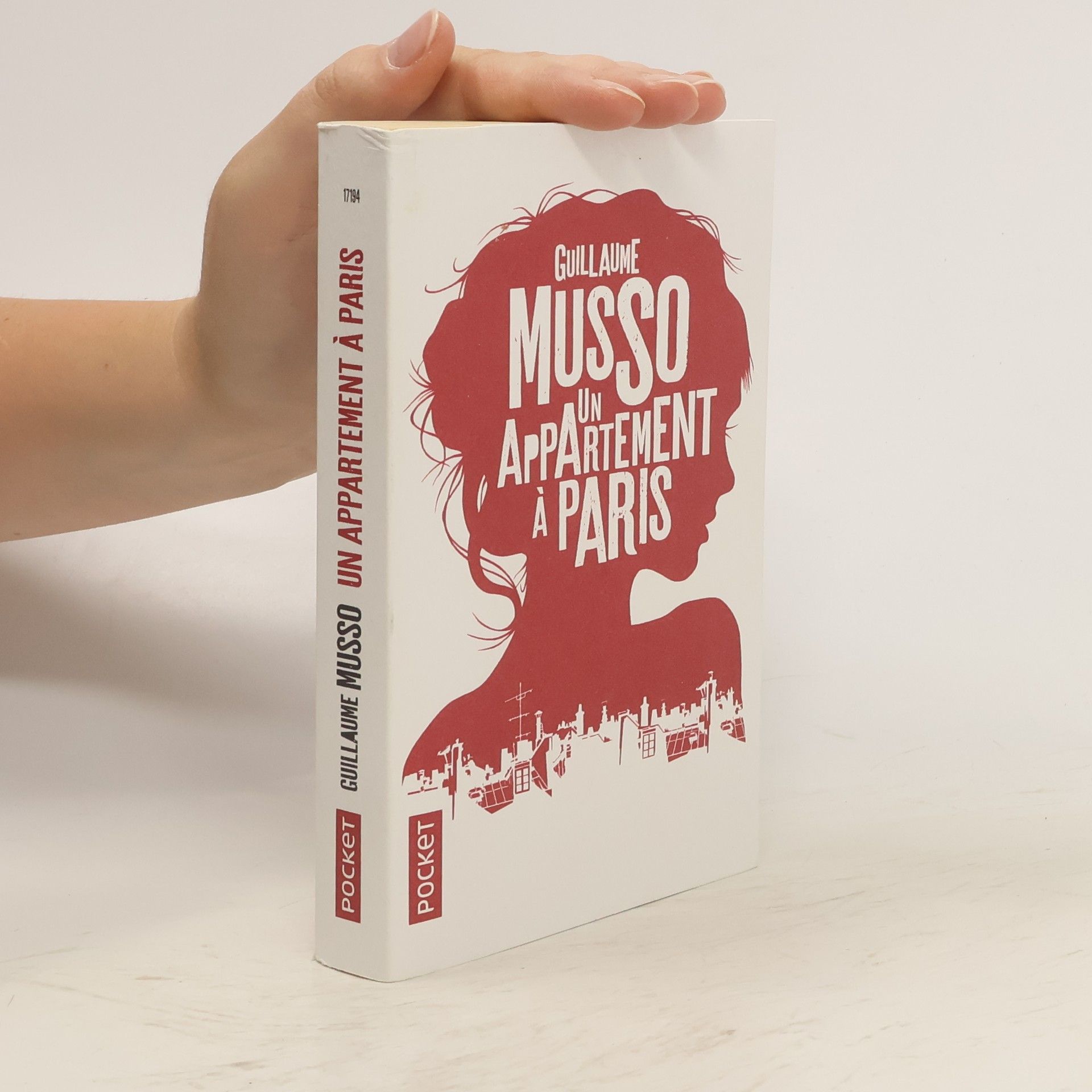 Guillaume Musso Un appartement à Paris