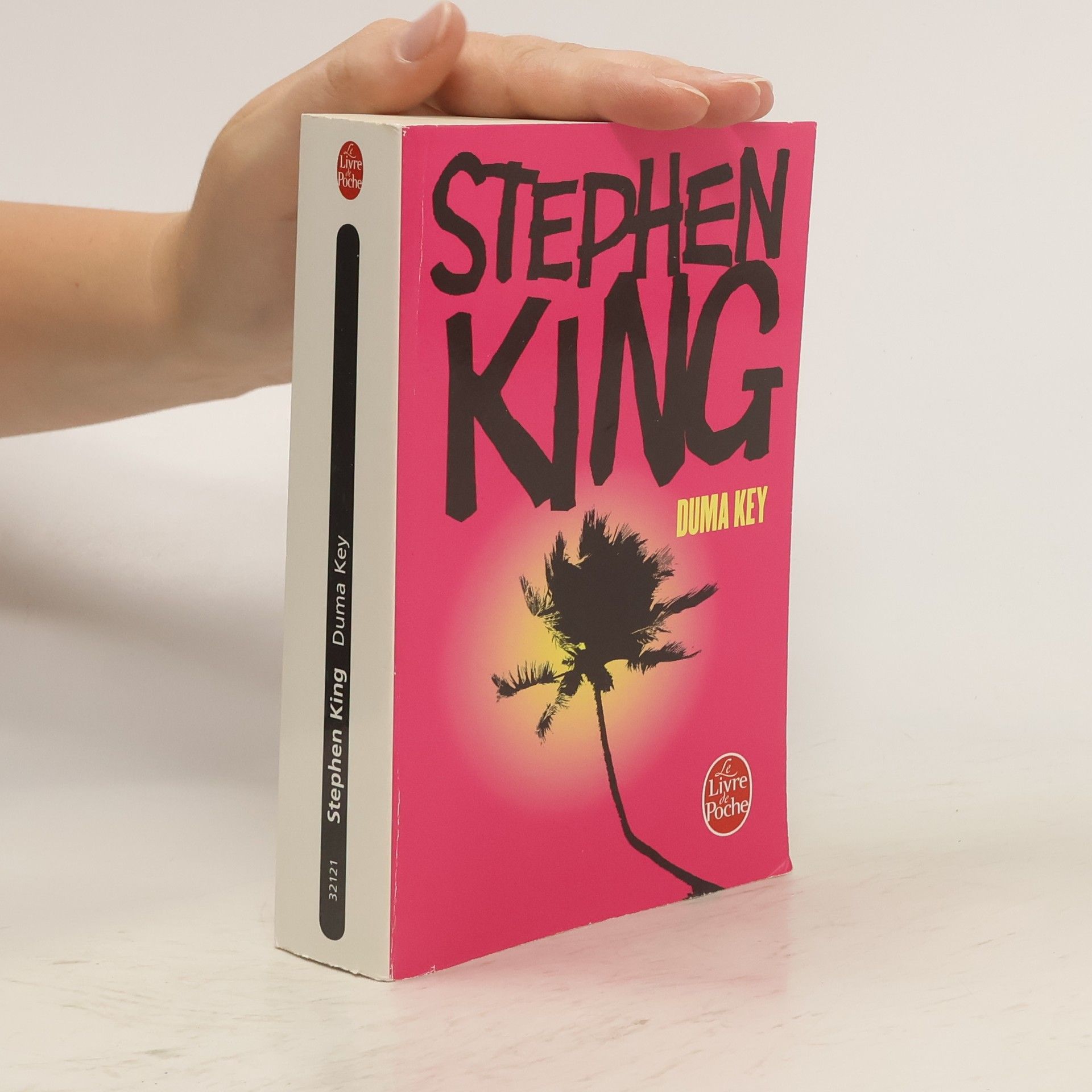 Stephen King Duma Key