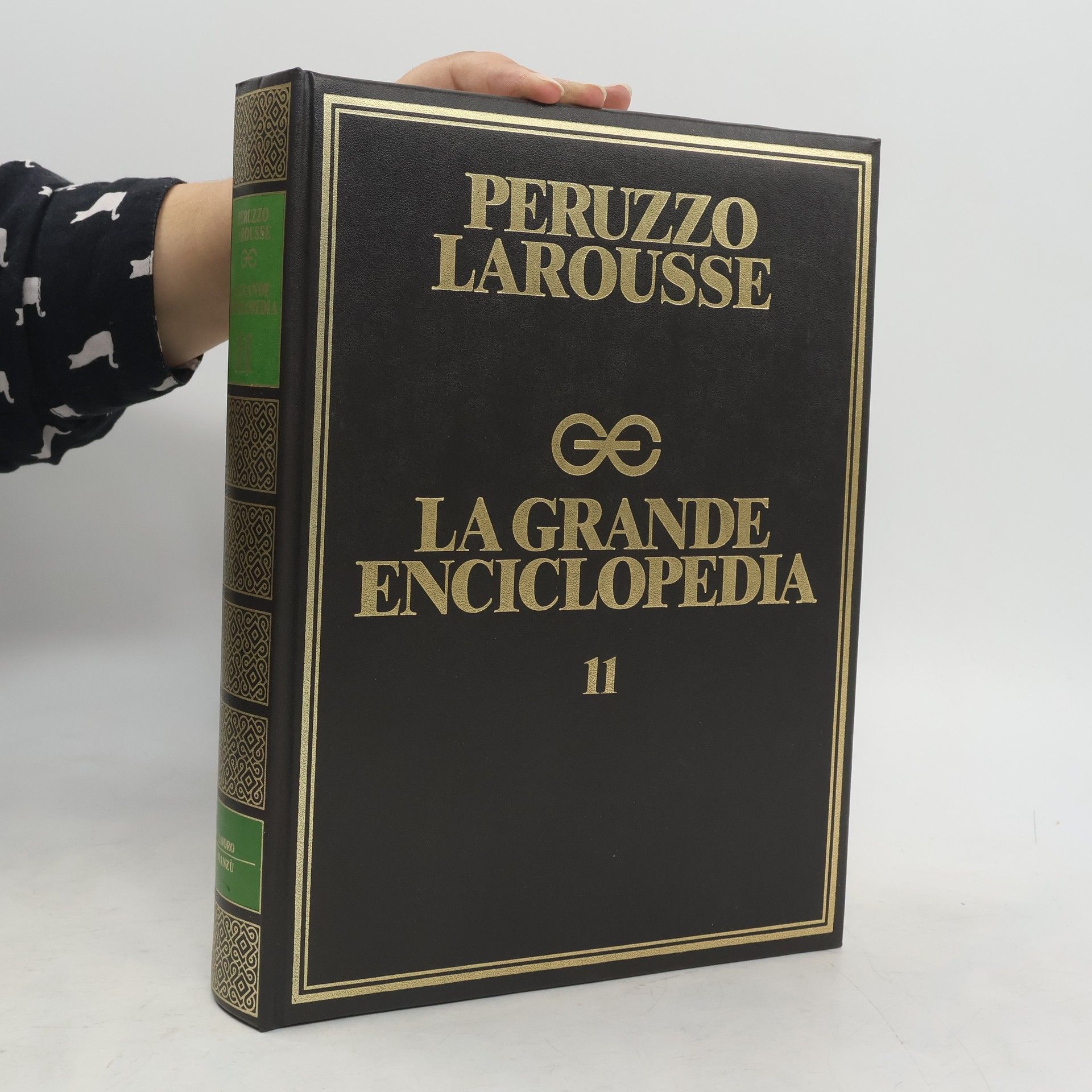 AA.VV. Peruzzo larousse. La grande enciclopedia 11