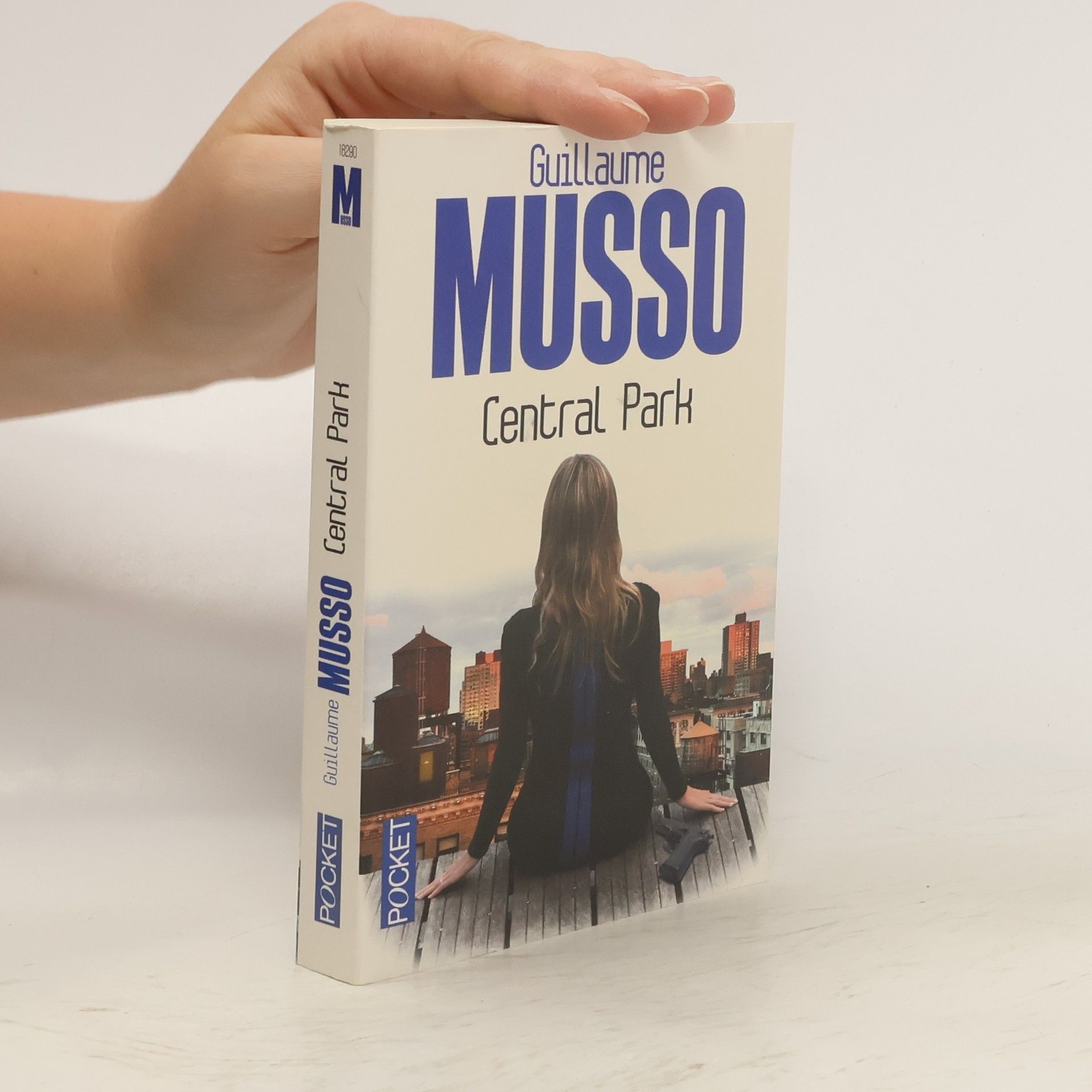 Guillaume Musso Central Park (Français)