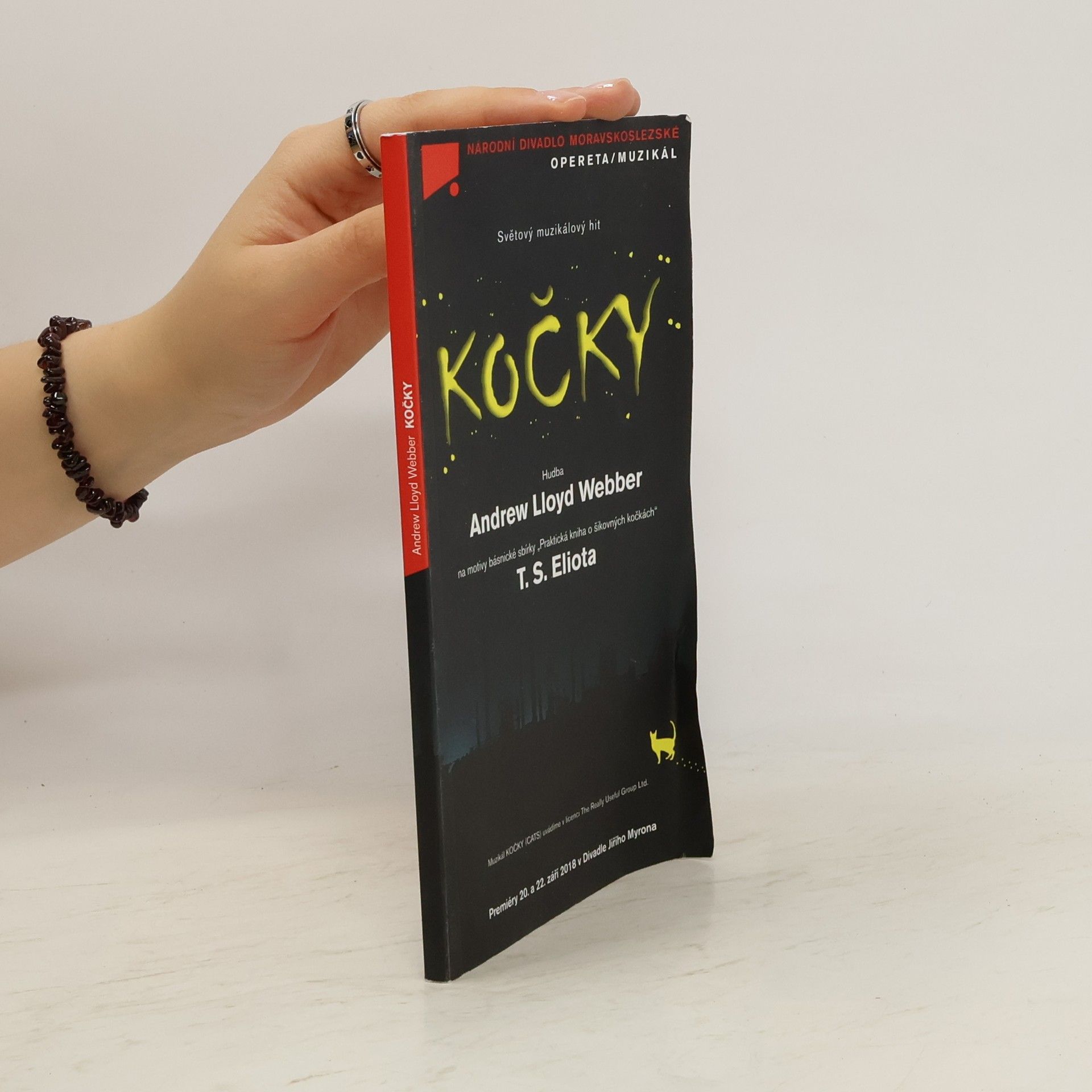 Prostějovský Michal Kočky