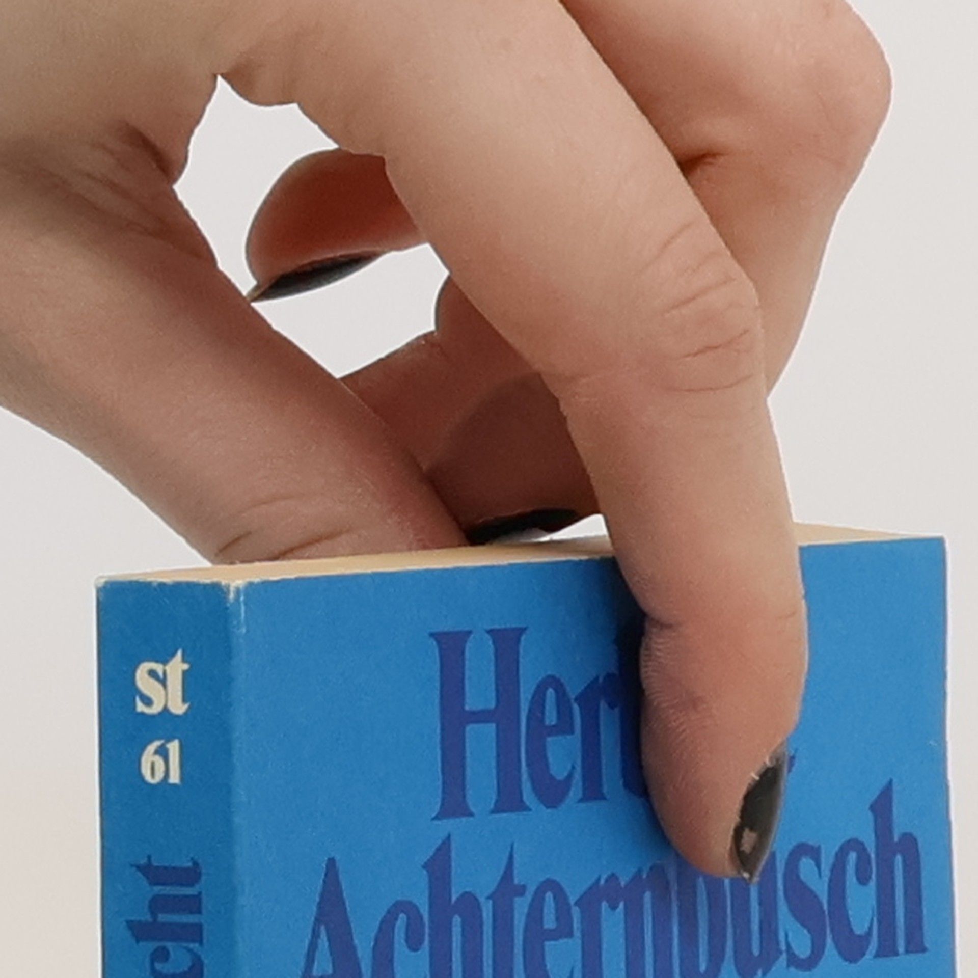 Herbert Achternbusch Die Alexanderschlacht