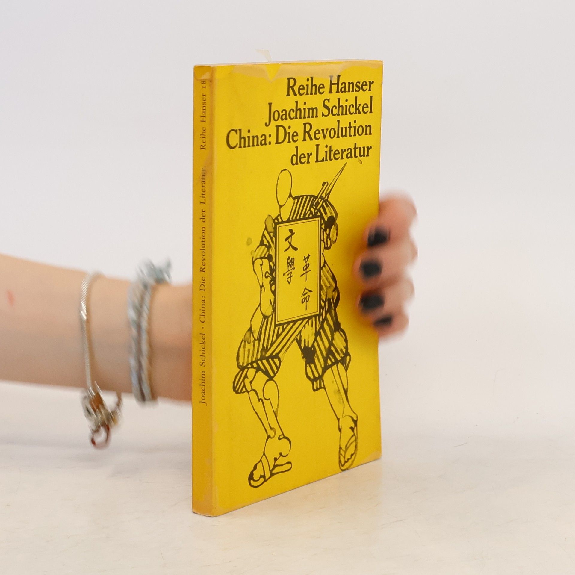 Joachim Schickel China: Die Revolution der Literatur