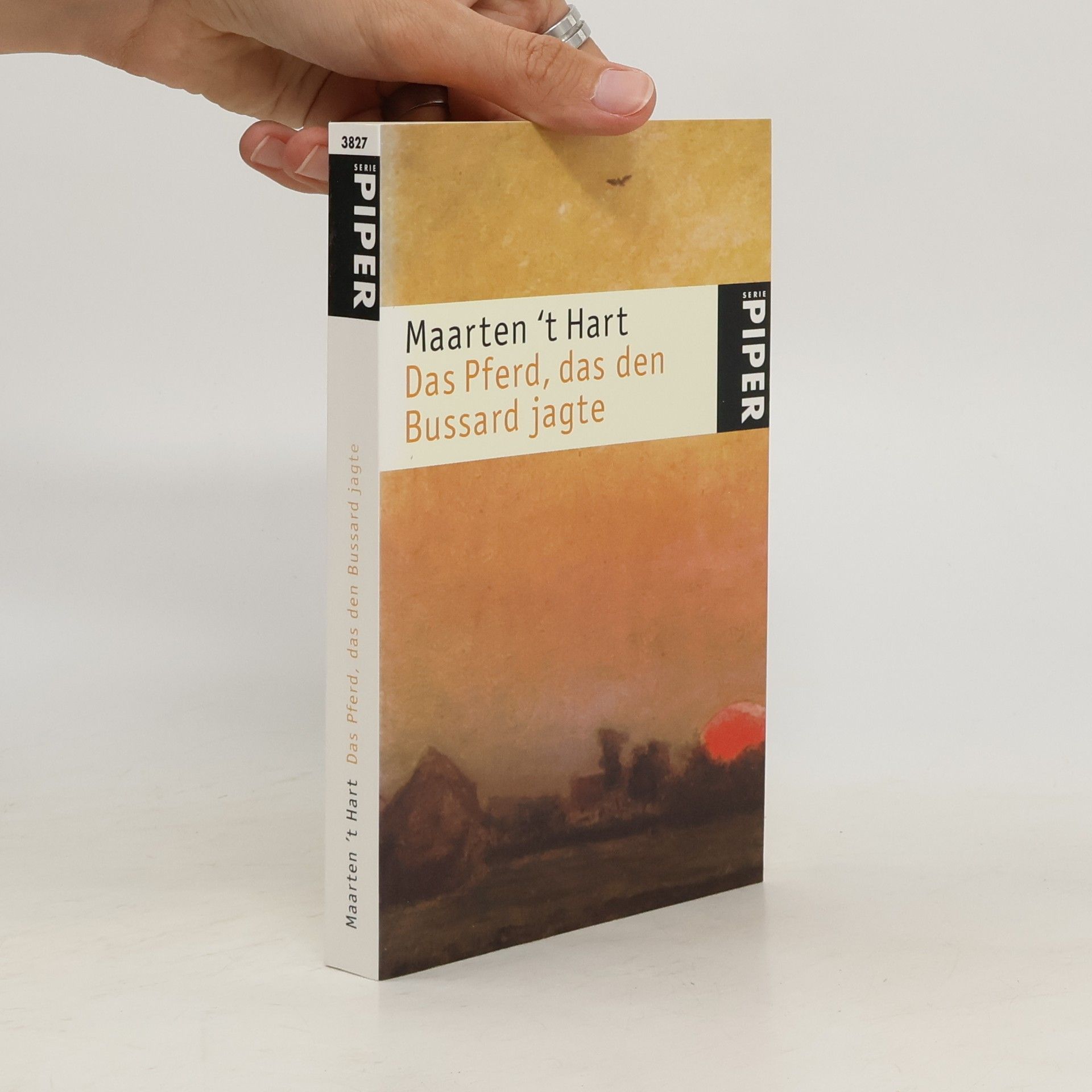Maarten t. Hart Das Pferd, das den Bussard jagte