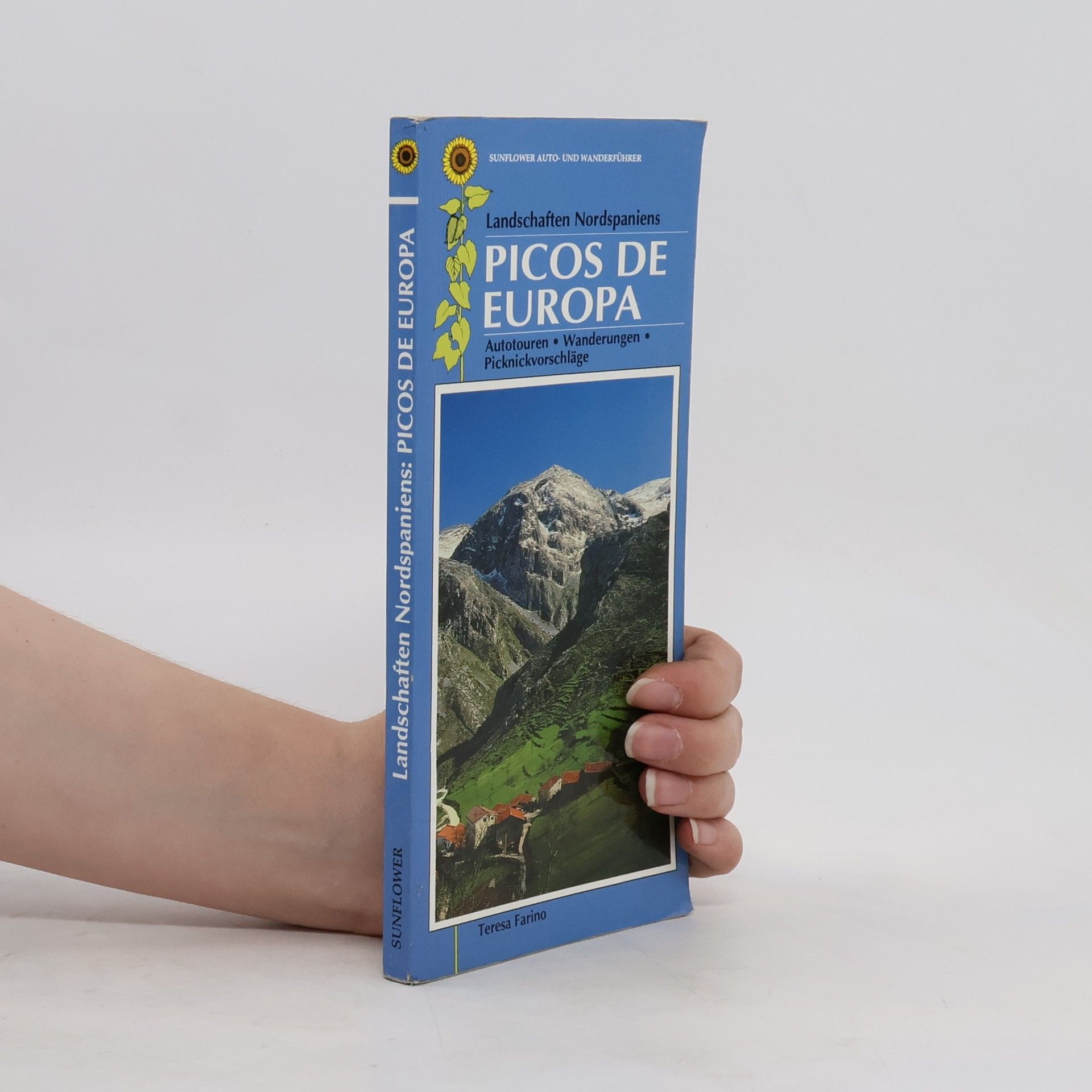 Teresa Farino Landschaften der Picos de Europa