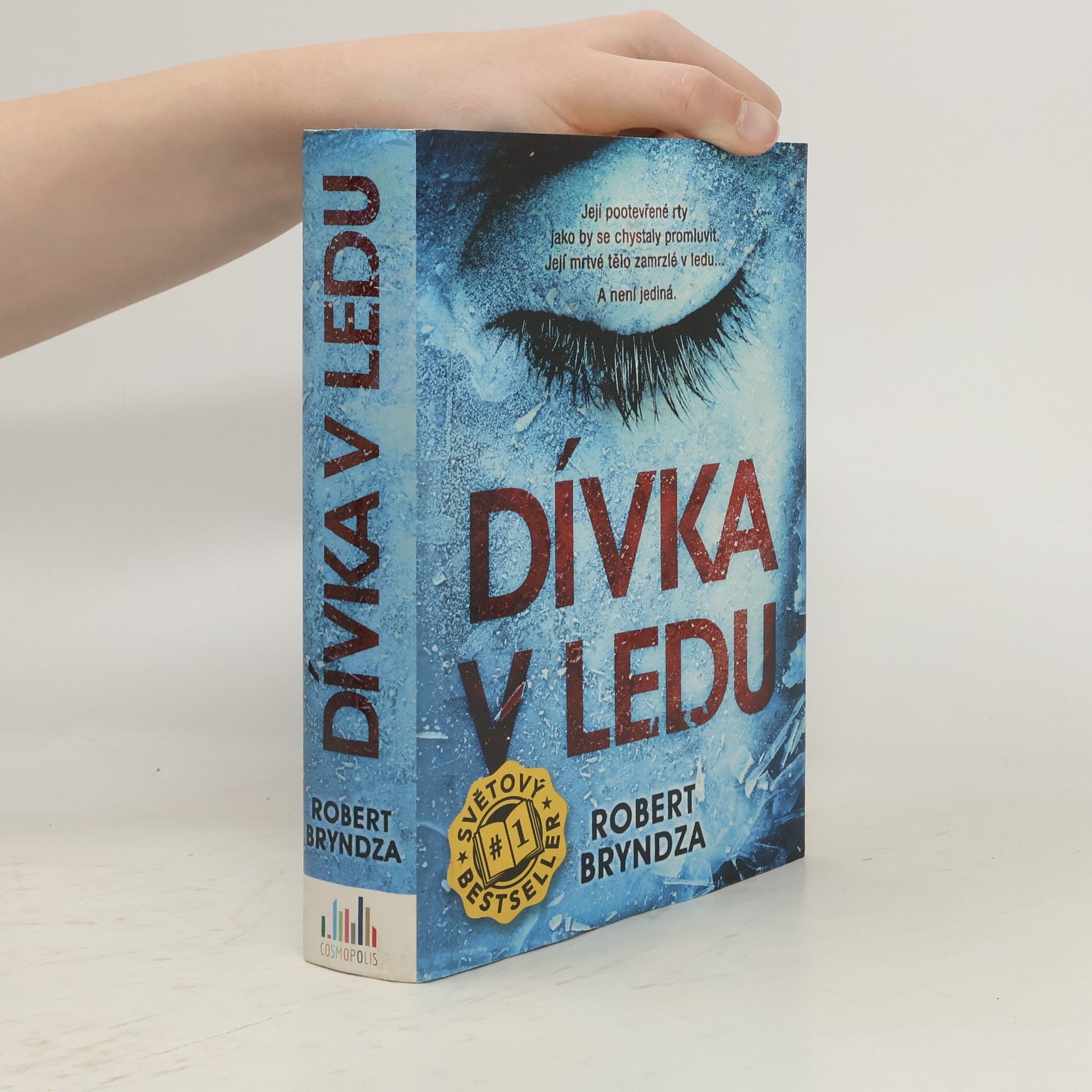 Robert Bryndza Dívka v ledu