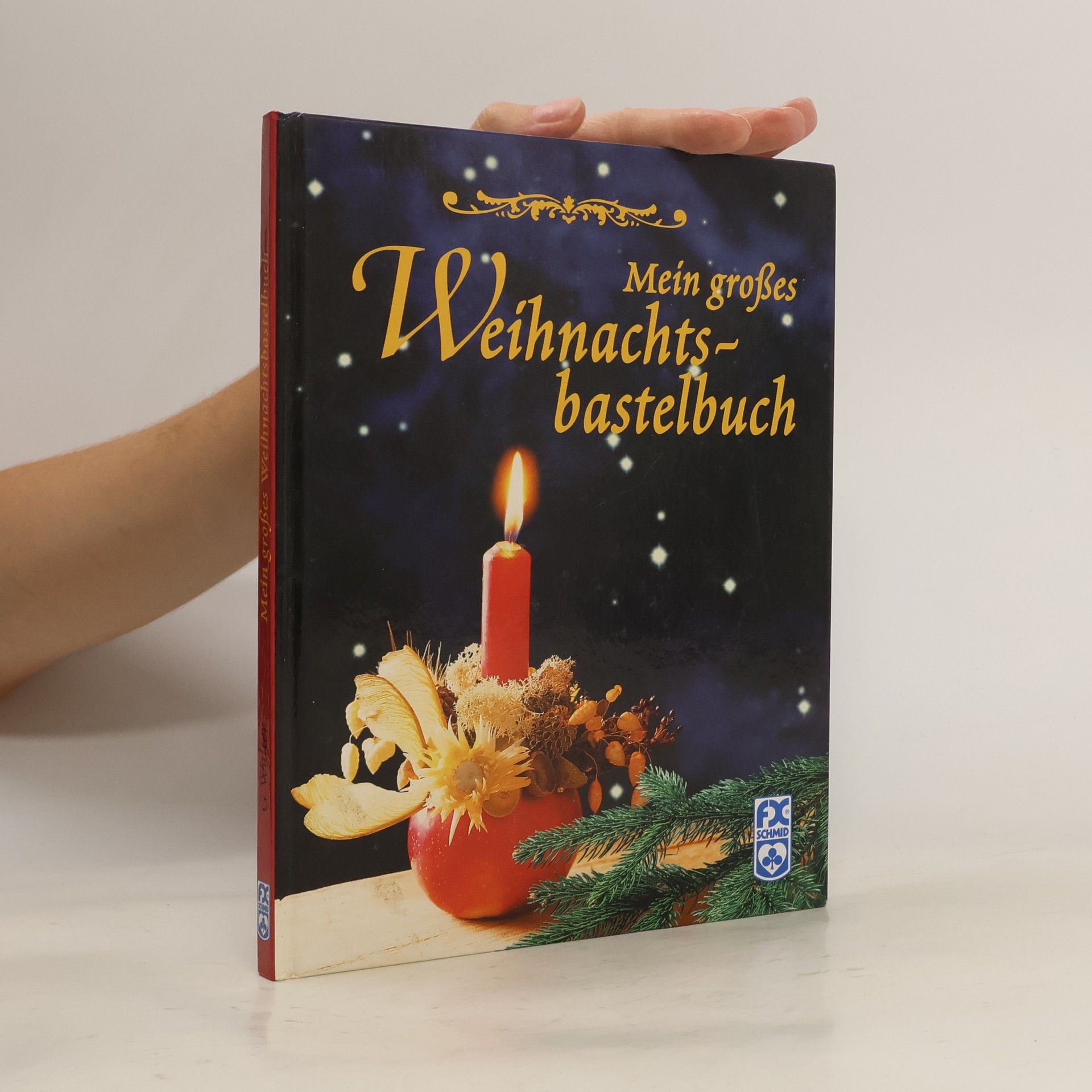 Gisela Walter Mein grosses Weihnachtsbastelbuch