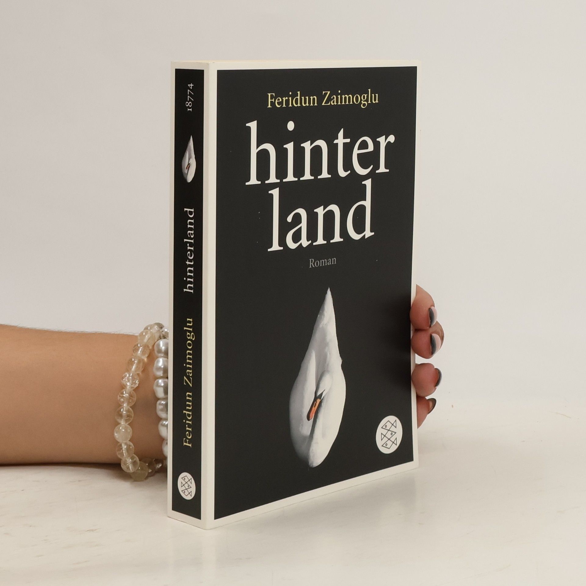 Feridun Zaimoğlu Hinter Land : Roman