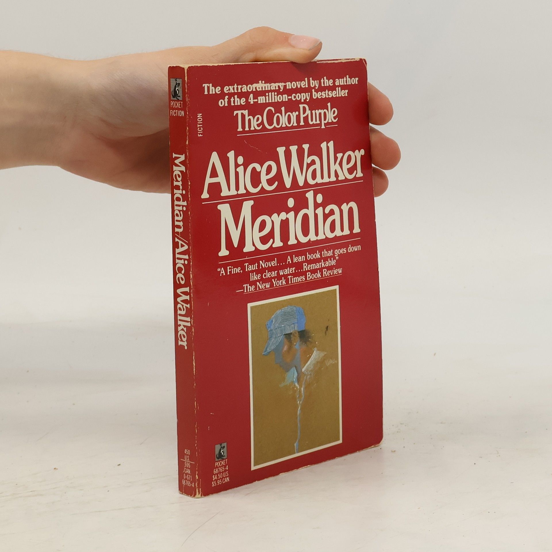 Alice Walker Pocket Fiction: Meridian