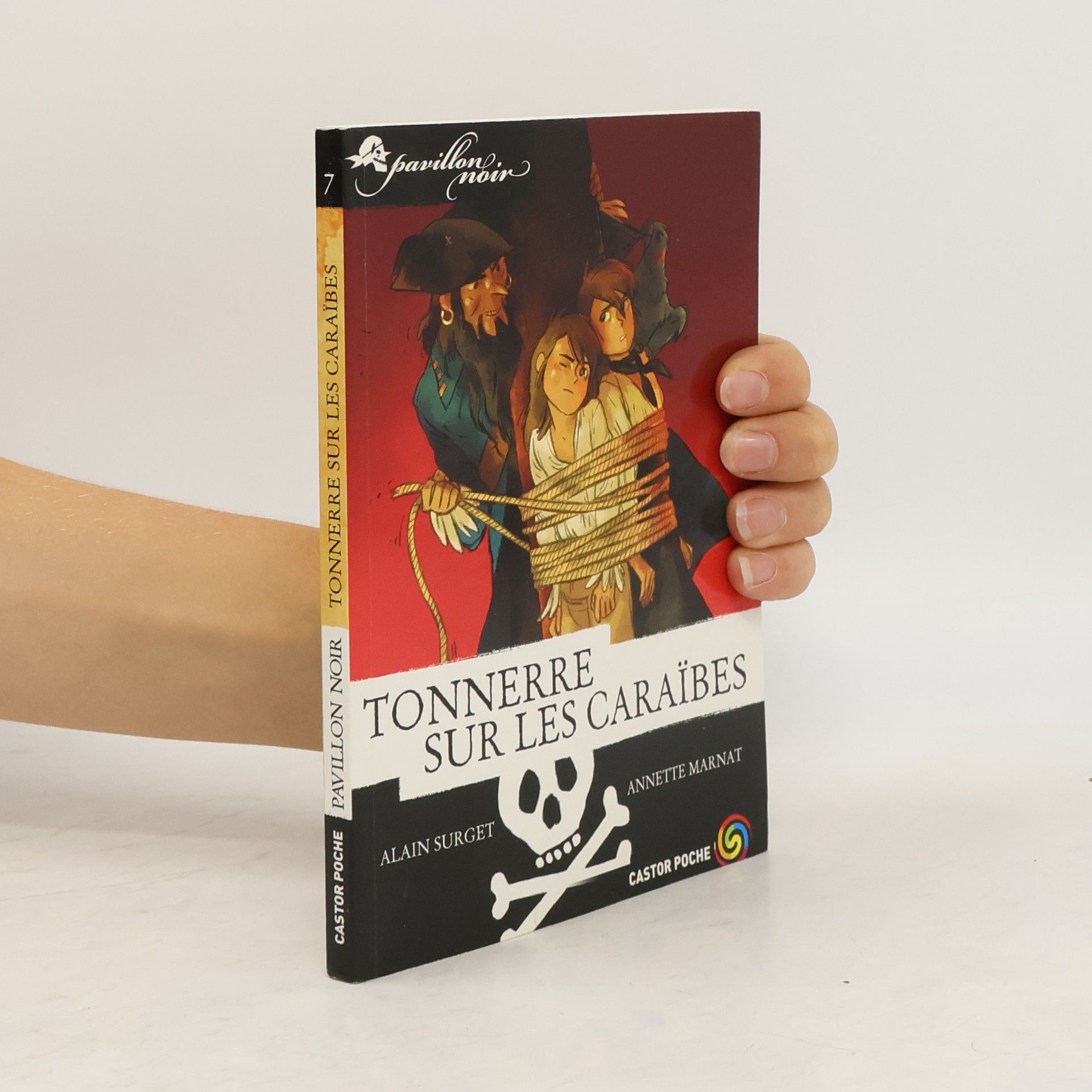Alain Surget Tonnerre sur les Caraïbes