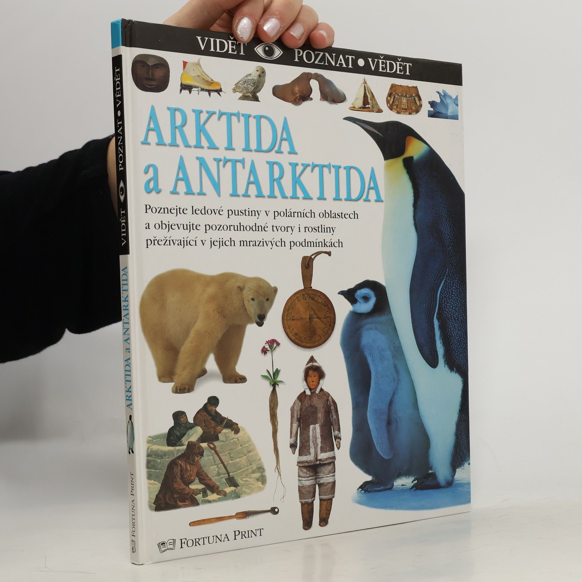 Barbara Taylor Bradford Arktida a Antarktida