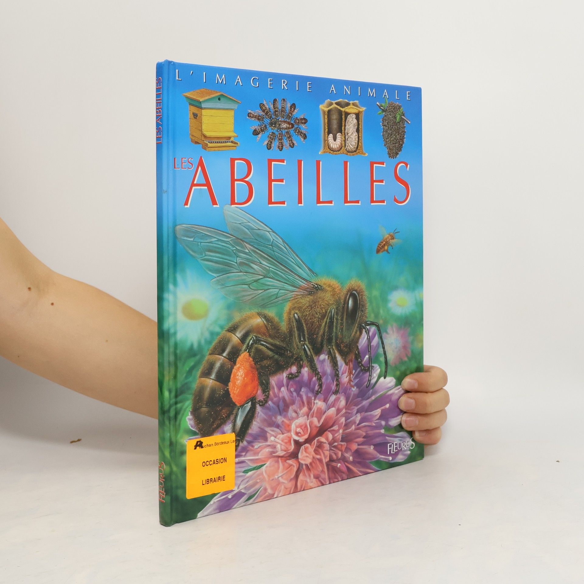 Sabine Boccador Les abeilles