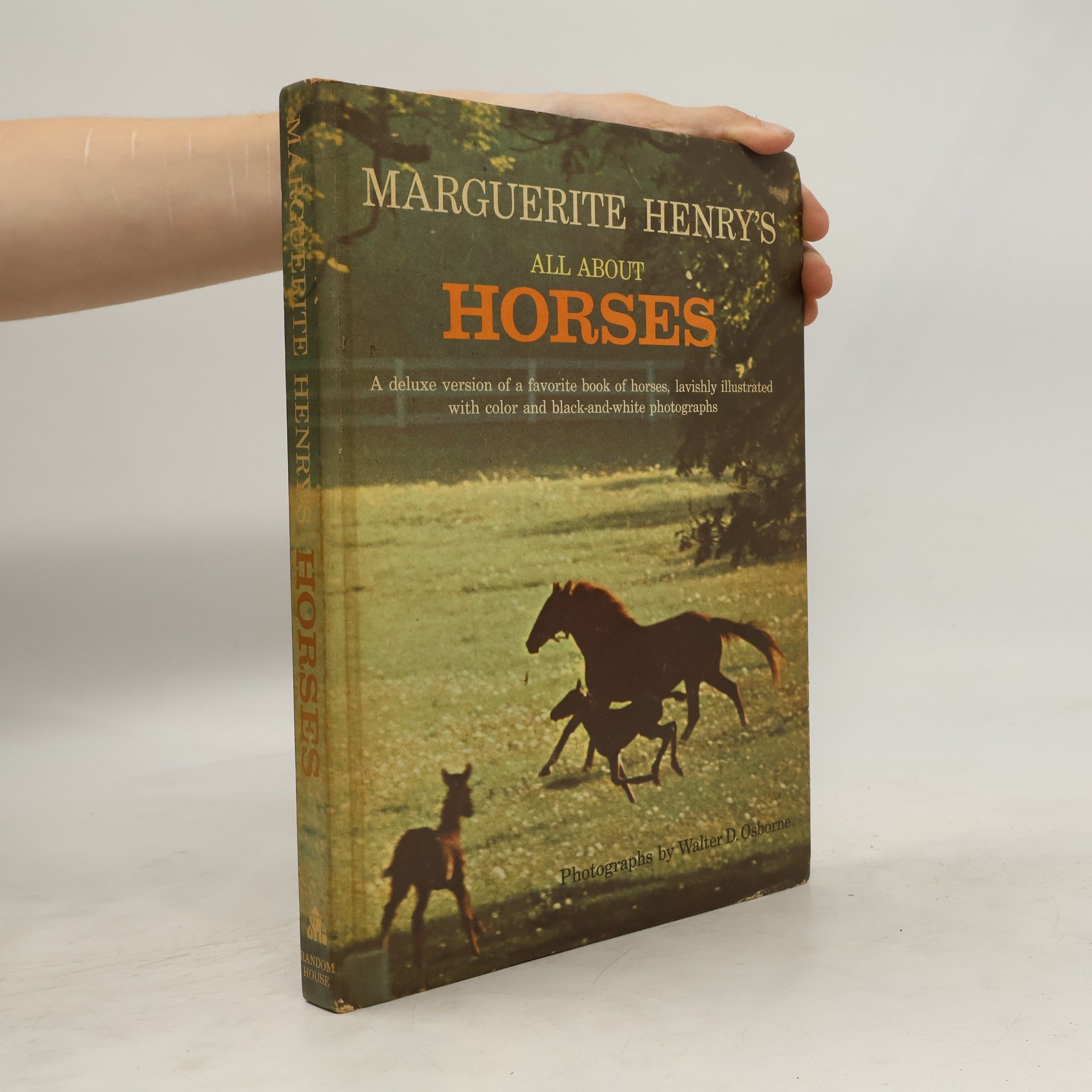 Walter D. Osborne All About Horses
