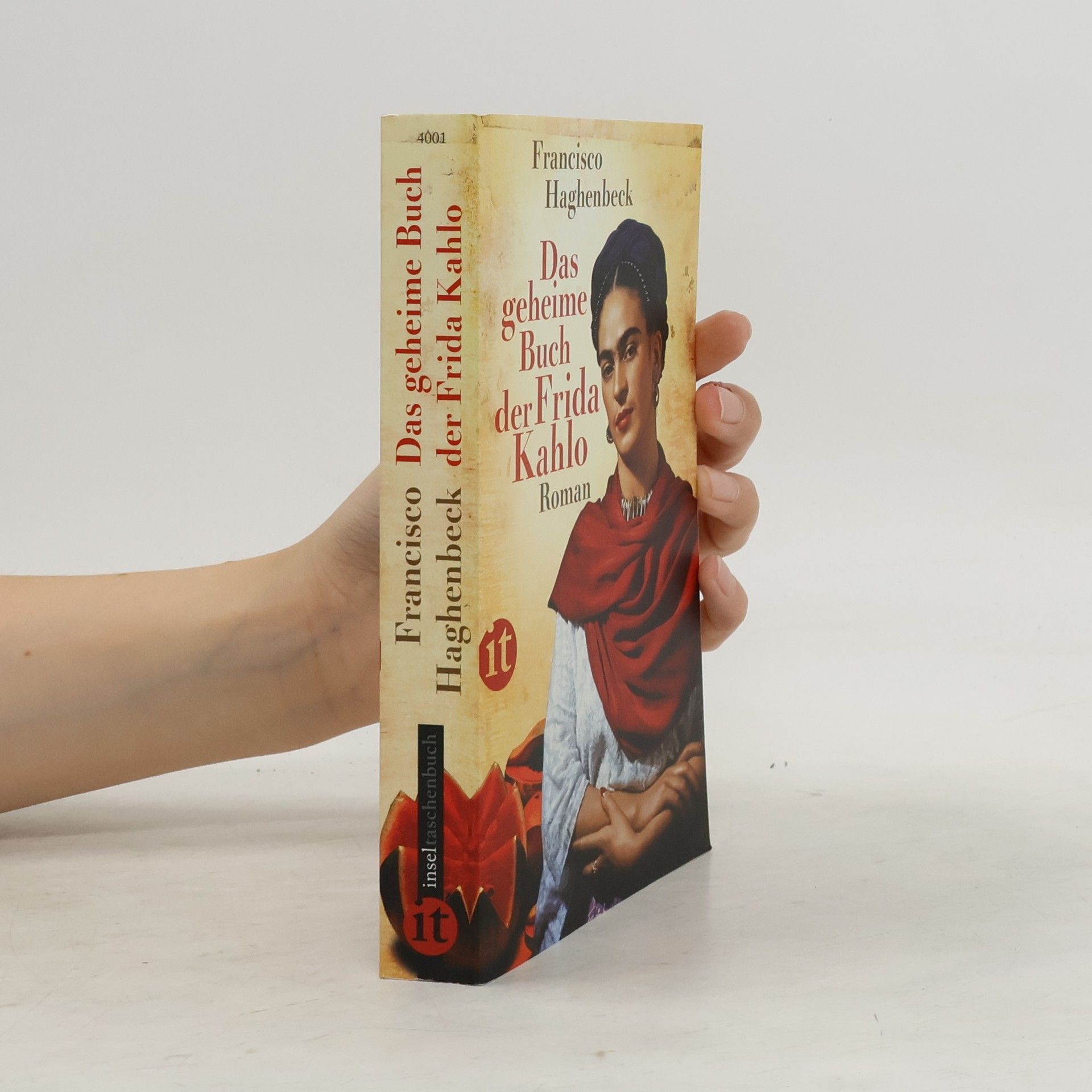 Francisco Haghenbeck Das geheime Buch der Frida Kahlo