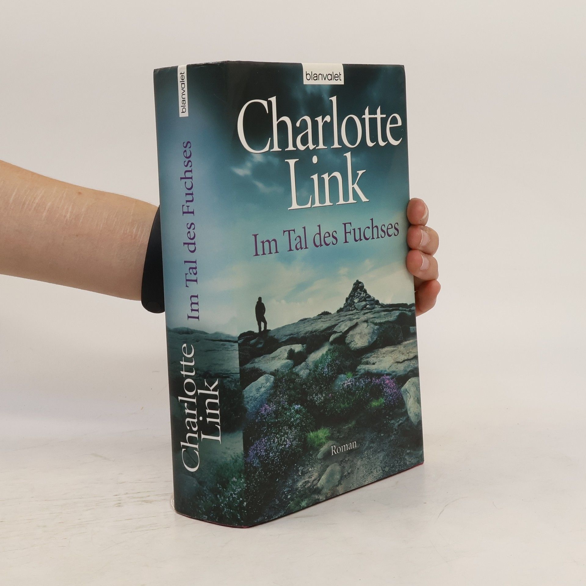 Charlotte Link Im Tal des Fuchses