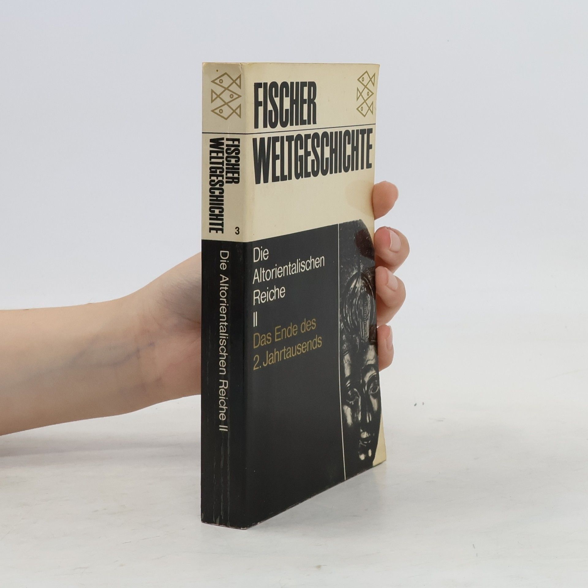 Collectif d'auteurs Fischer Weltgeschichte 3