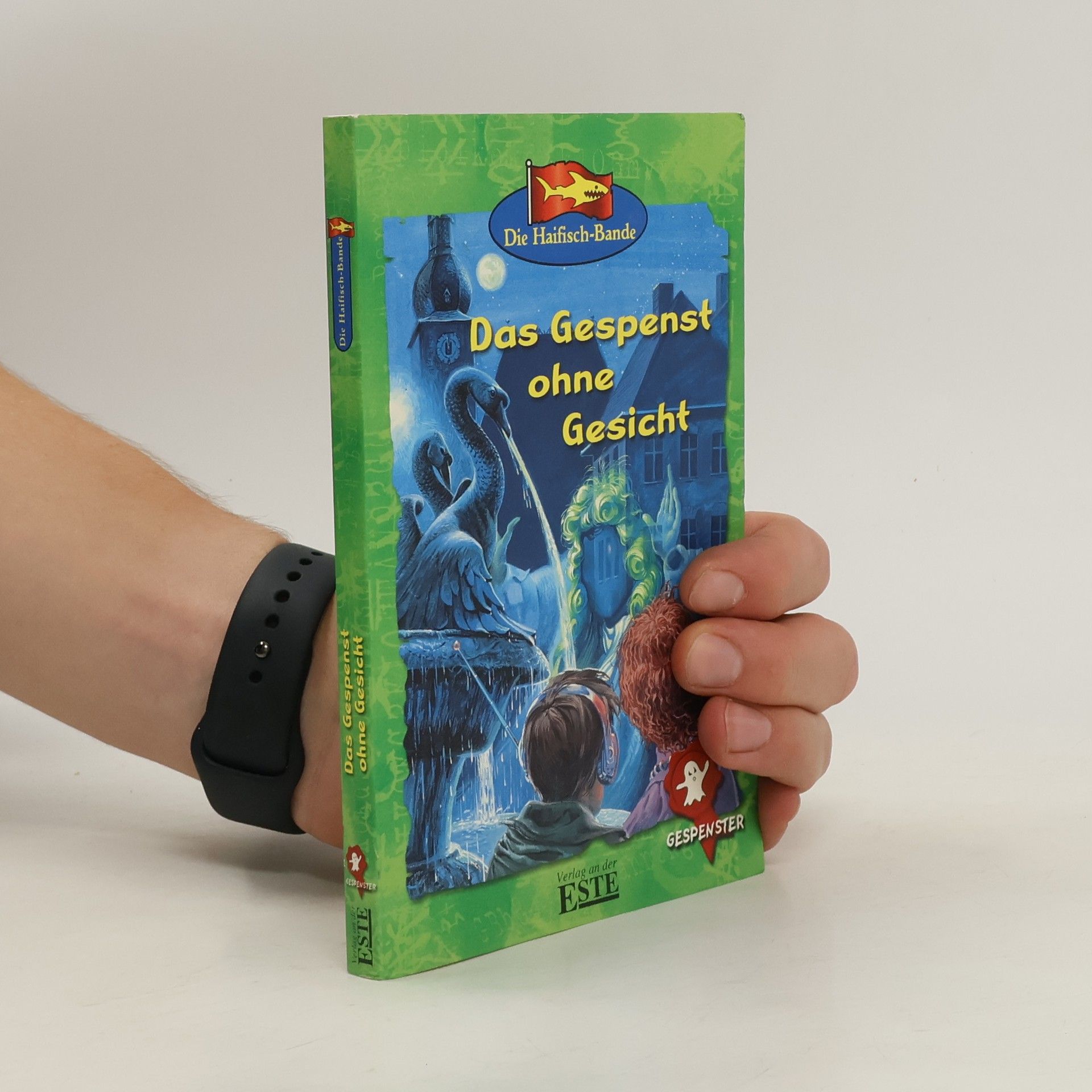 Uschi Flacke Das Gespenst ohne Gesicht
