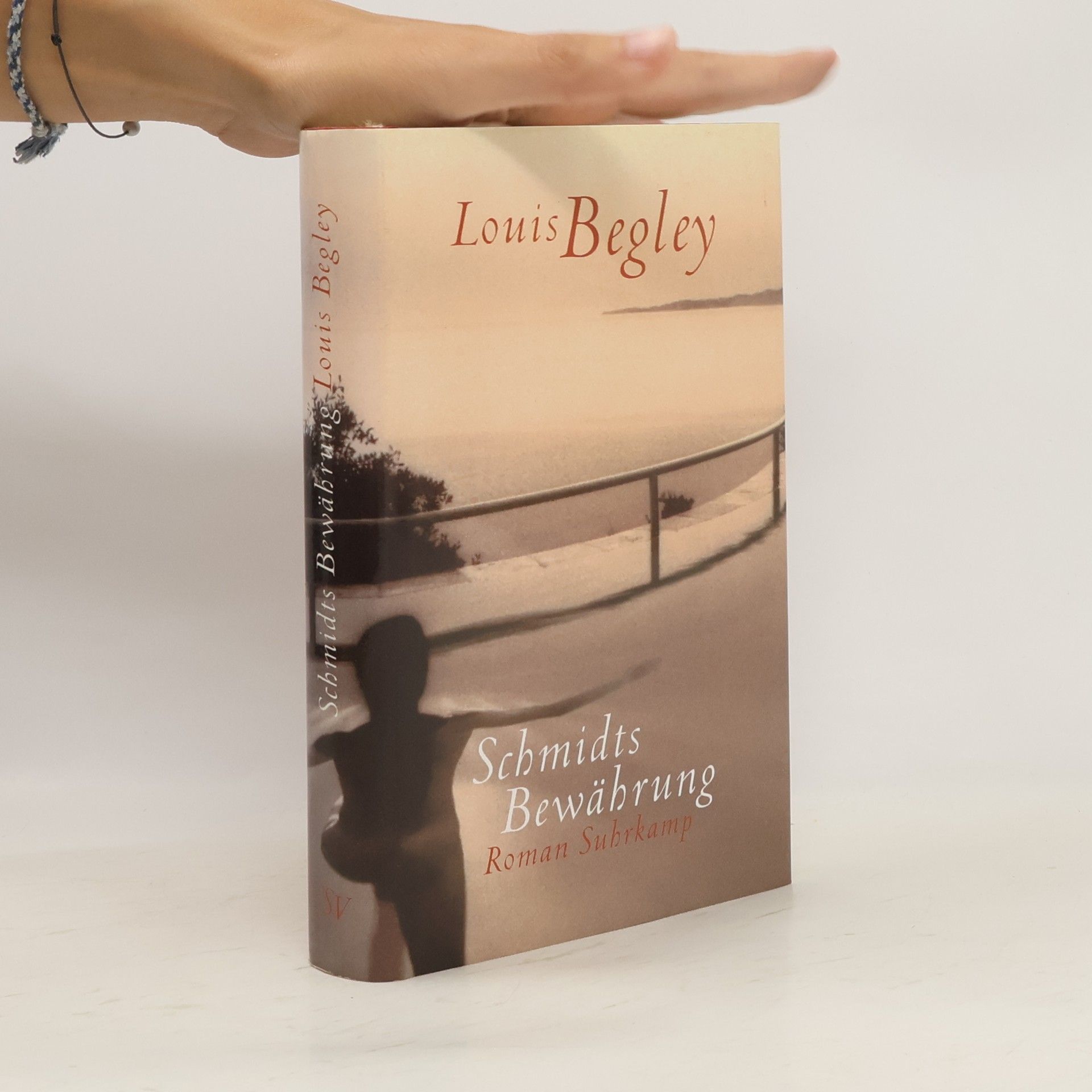 Louis Begley Schmidts Bewährung