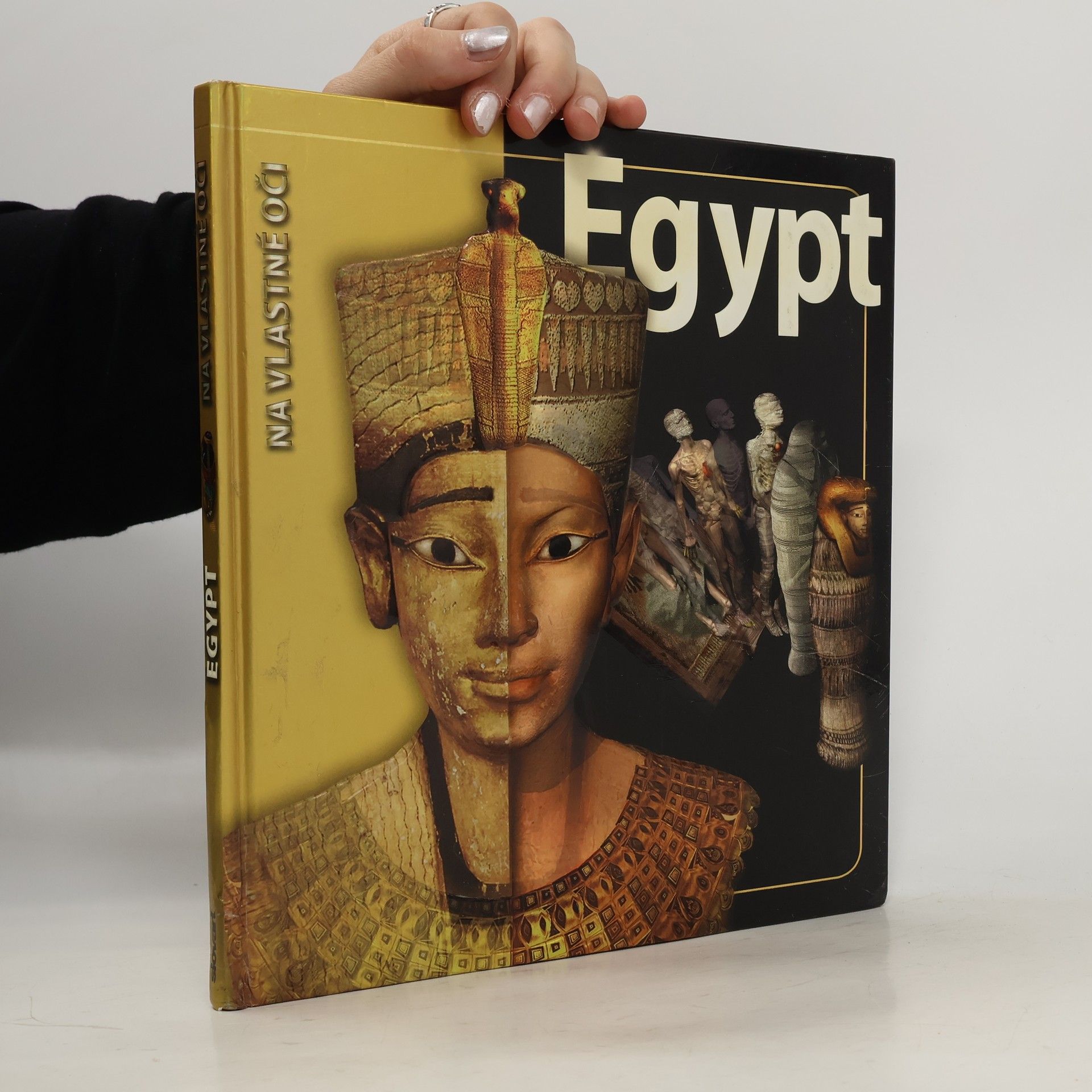 Joyce Tyldesley  Egypt. Na vlastné oči