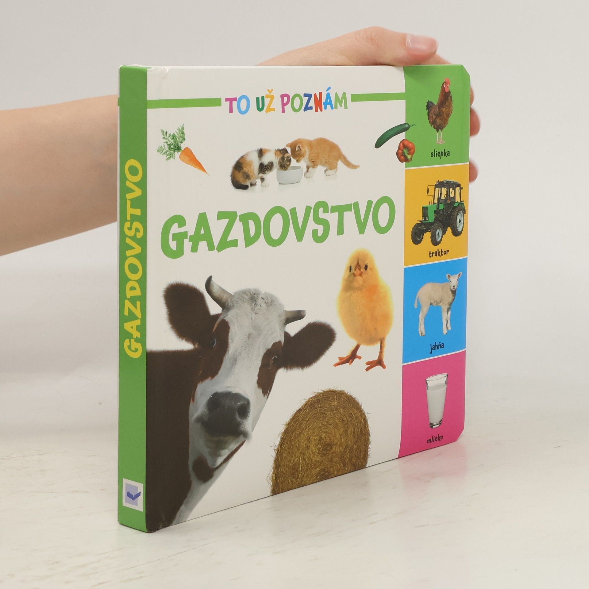Autorenkollektiv Gazdovstvo