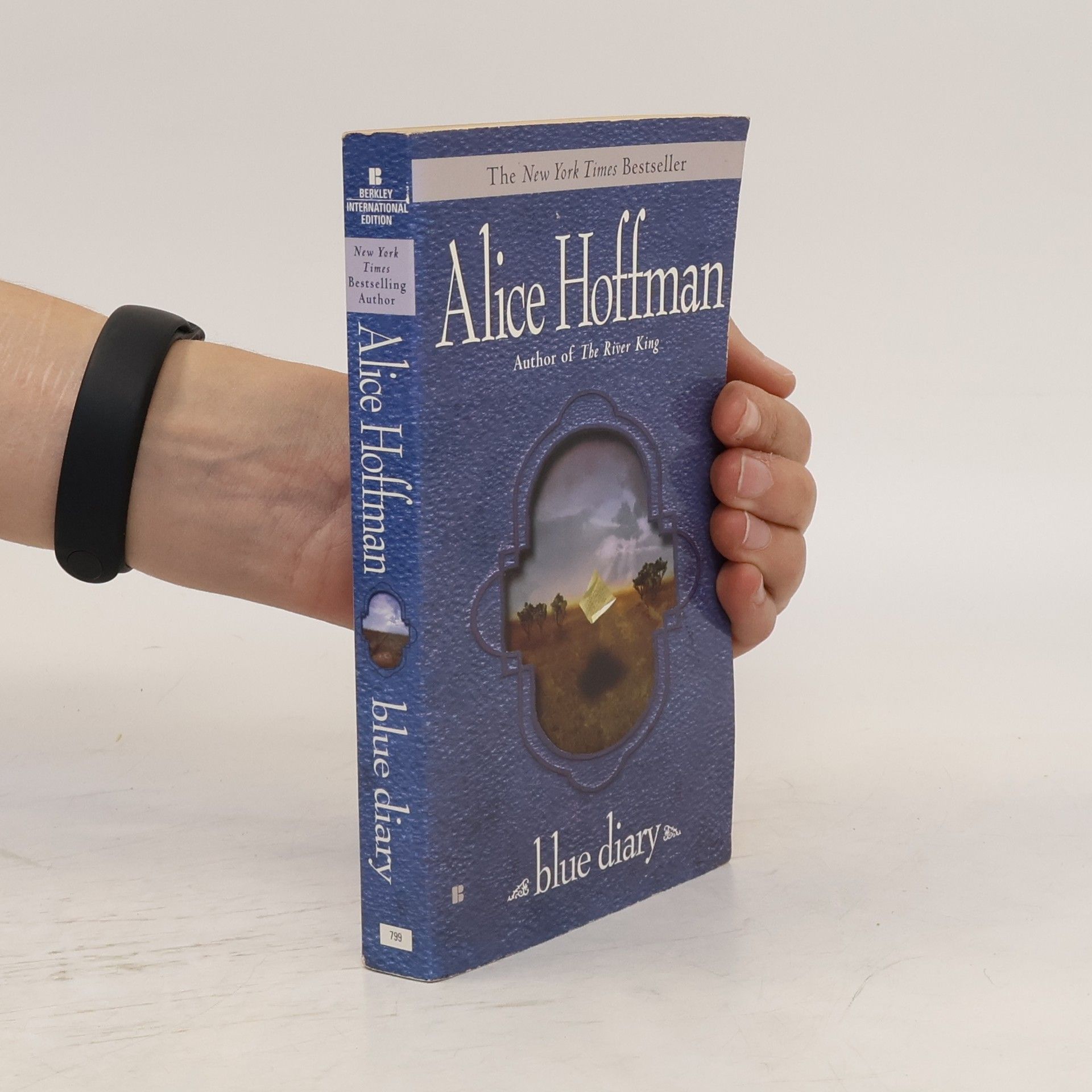 Alice Hoffman Blue Diary