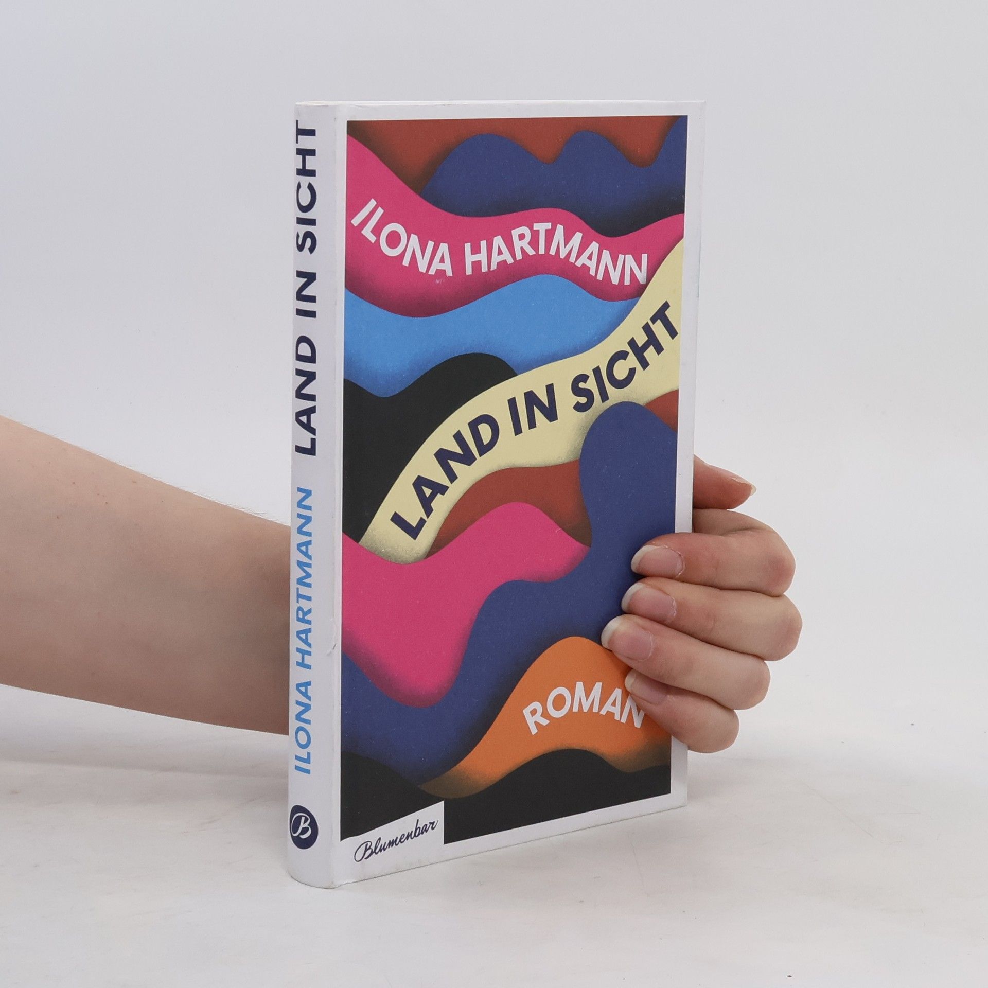 Ilona Hartmann Land in Sicht