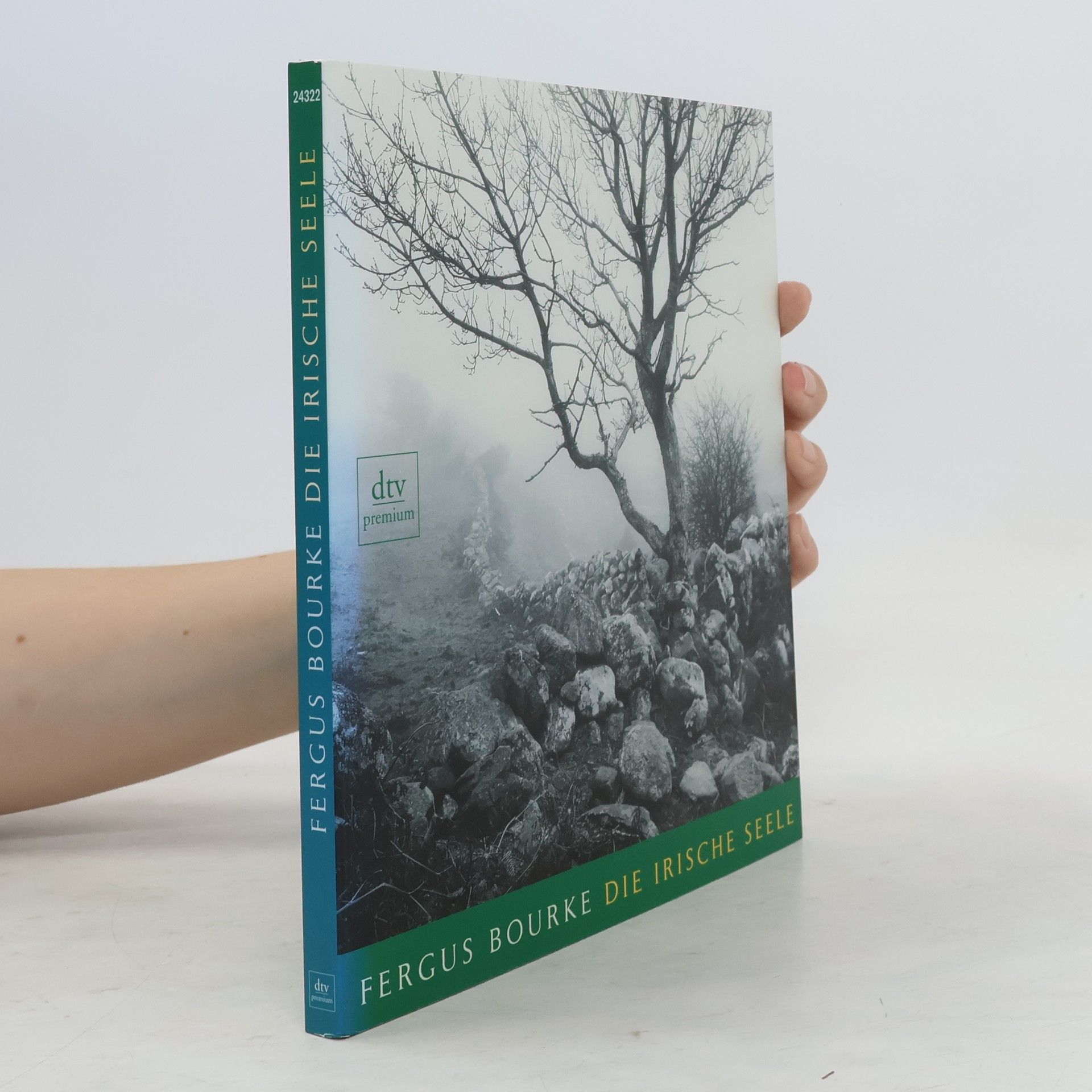 Fergus Bourke Die irische Seele
