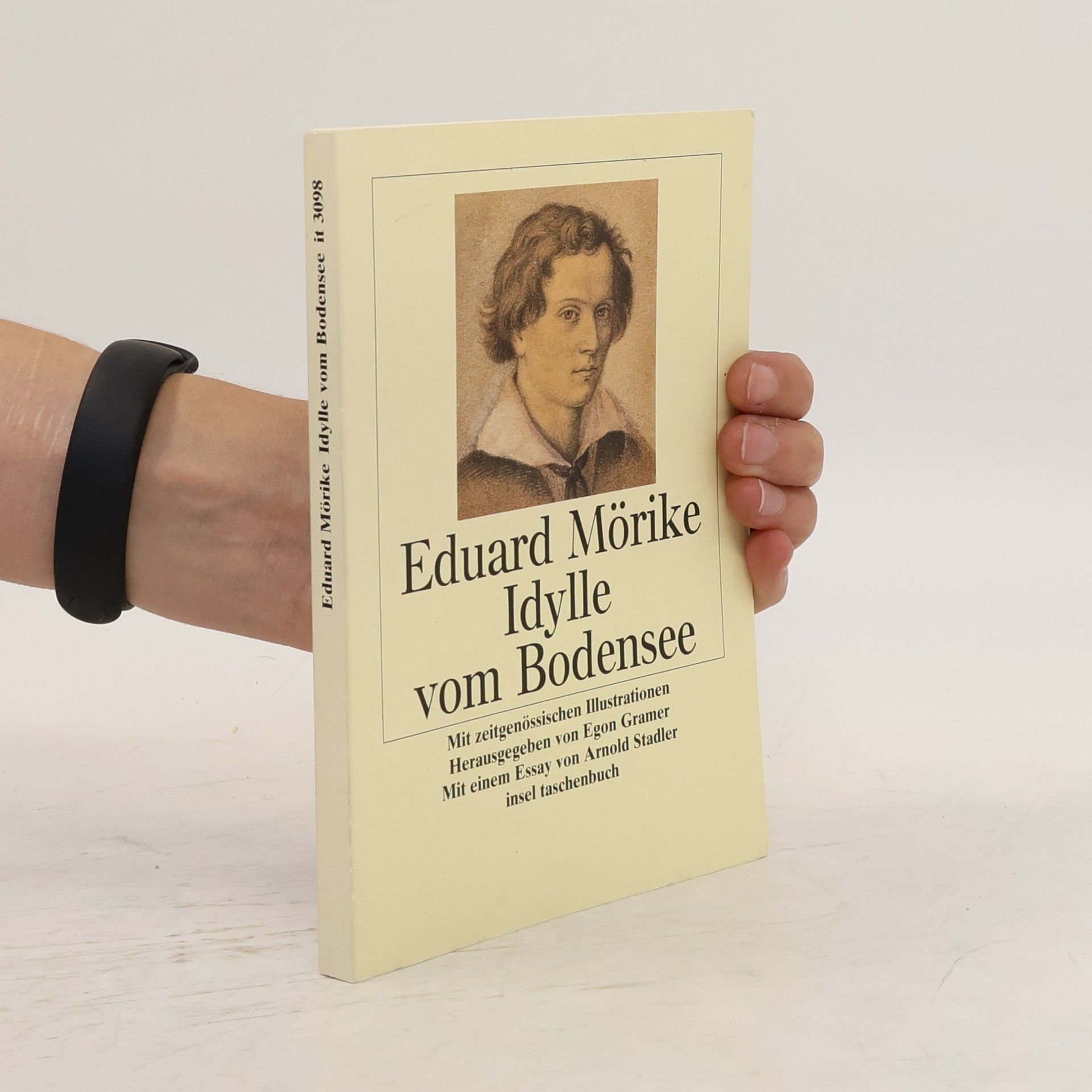 Eduard Mörike Idylle vom Bodensee oder Fischer Martin