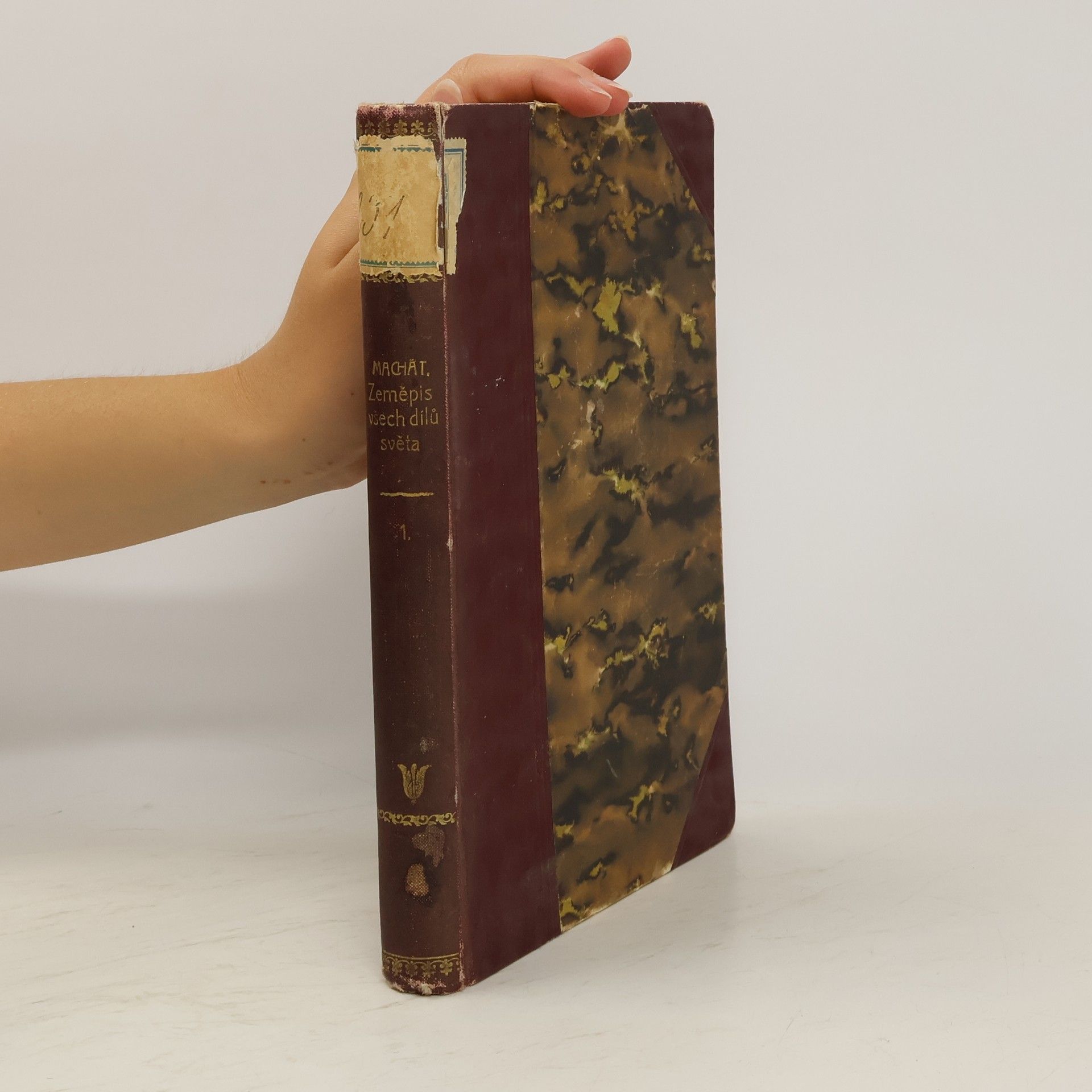 Collectif d'auteurs Illustrovaný zeměpis všech dílů světa : rukověť zeměpisu všeobecného a zvláštního (oblastního)