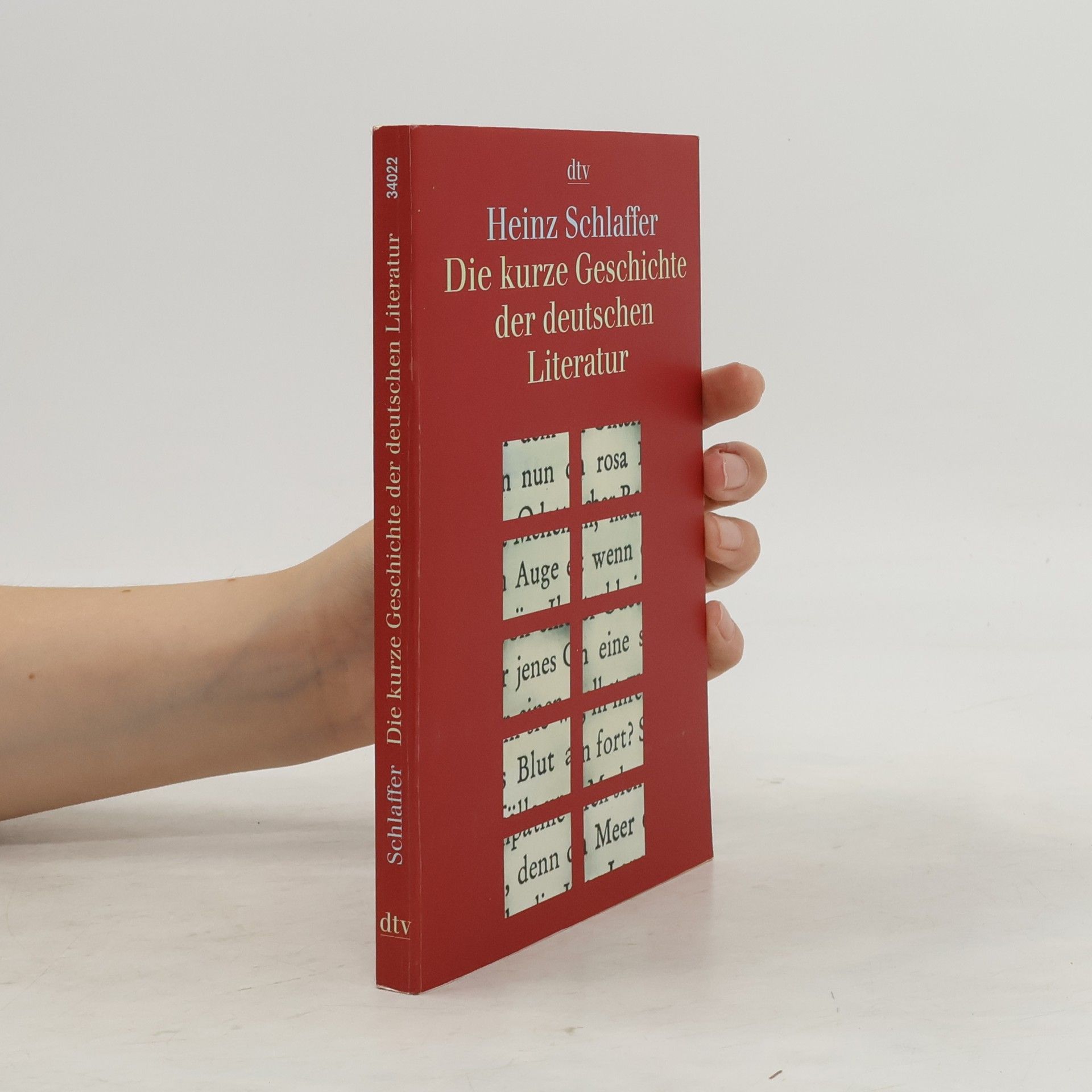 Heinz Schlaffer Die kurze Geschichte der deutschen Literatur