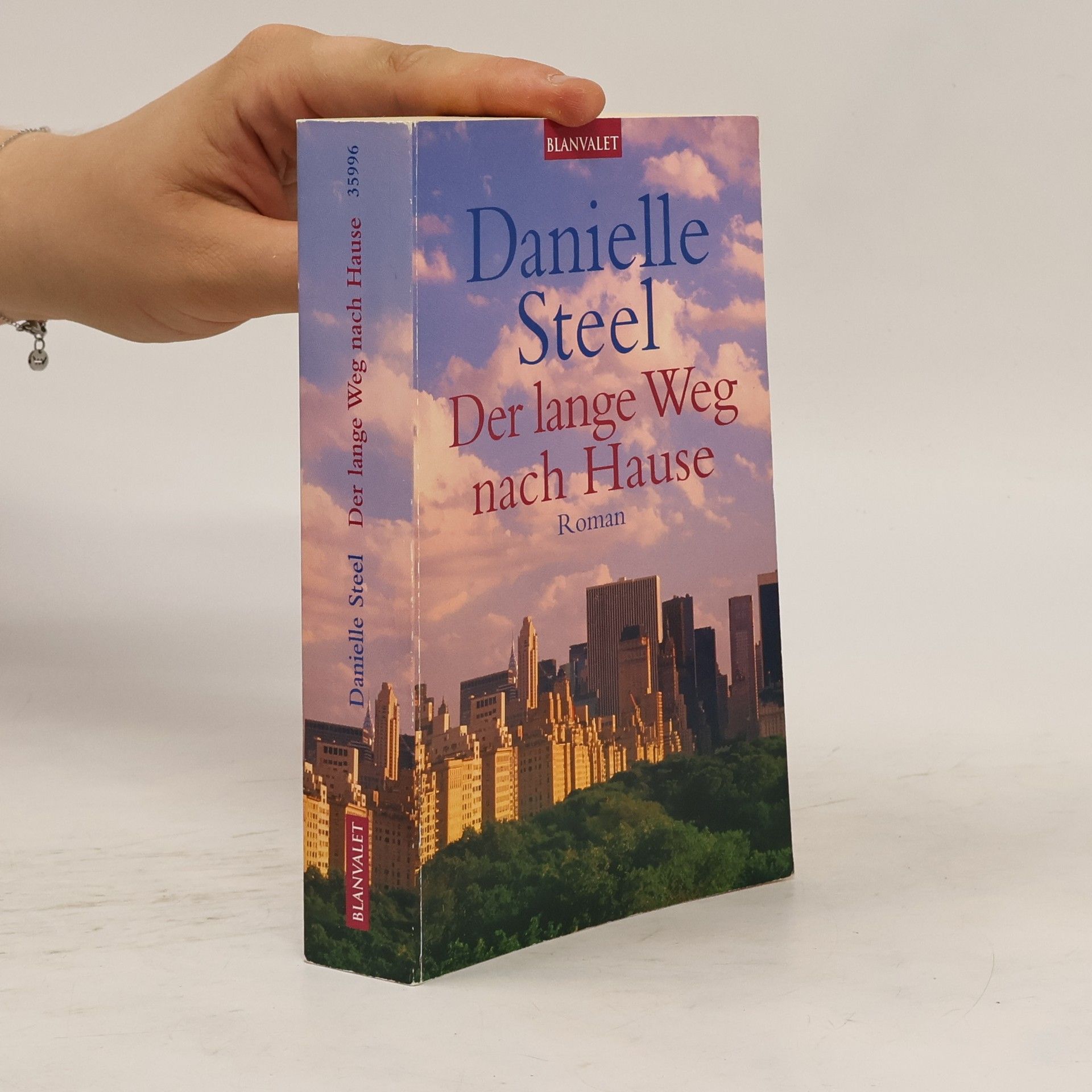 Danielle Steel Der lange Weg nach Hause