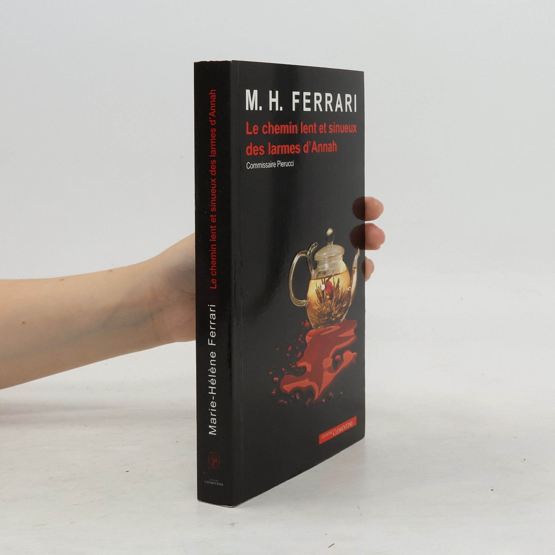 Marie-Hélène Ferrari Le chemin lent et sinueux des larmes d'Annah