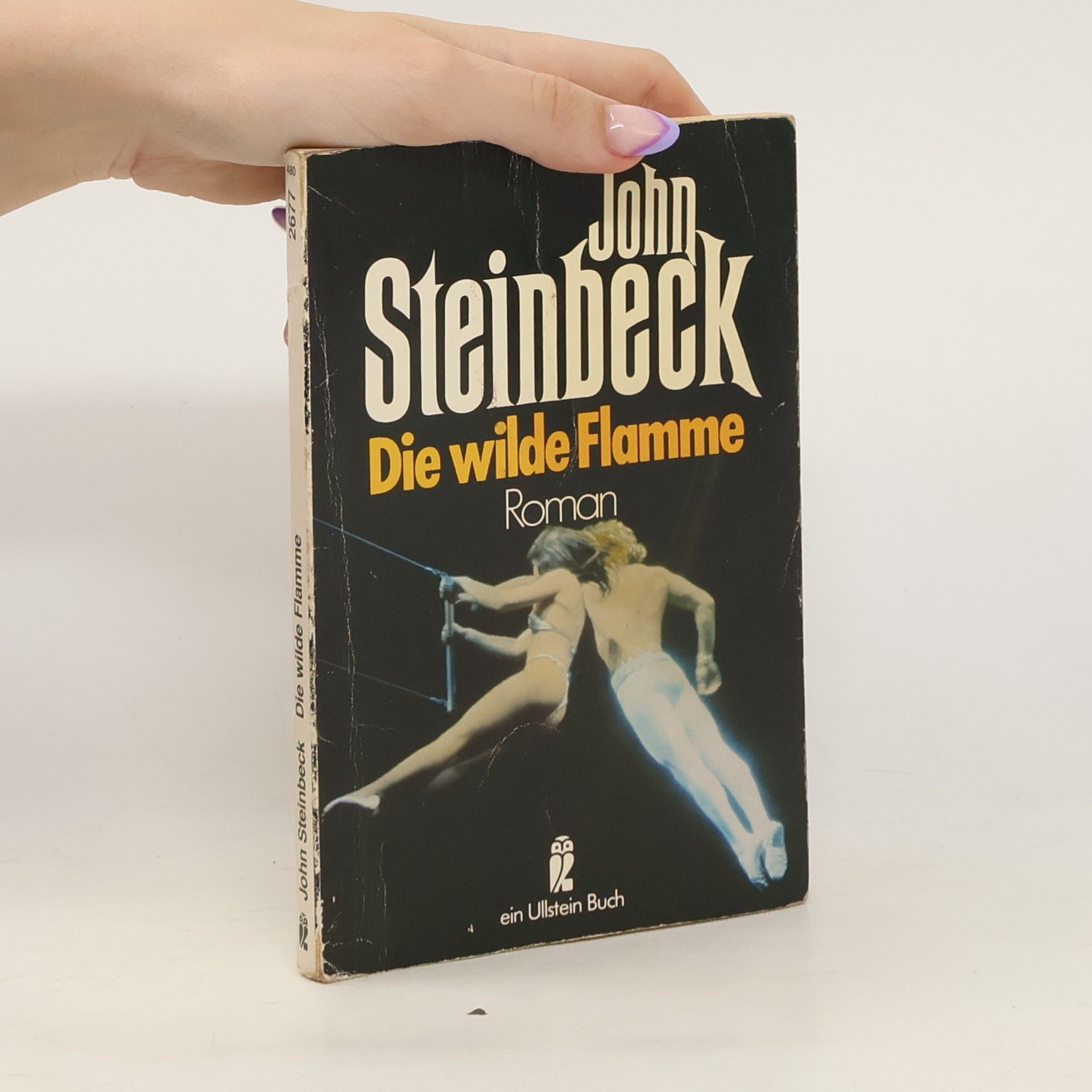 John Steinbeck Die wilde Flamme