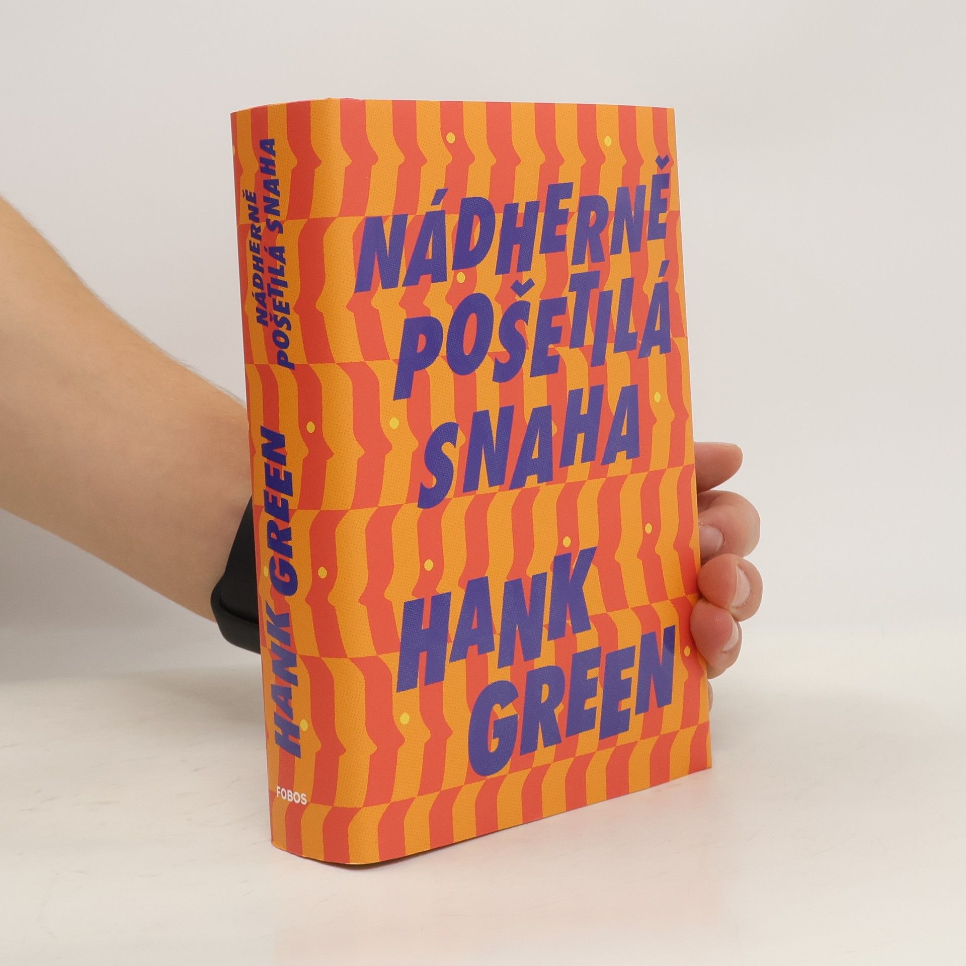 Hank Green Nádherně pošetilá snaha