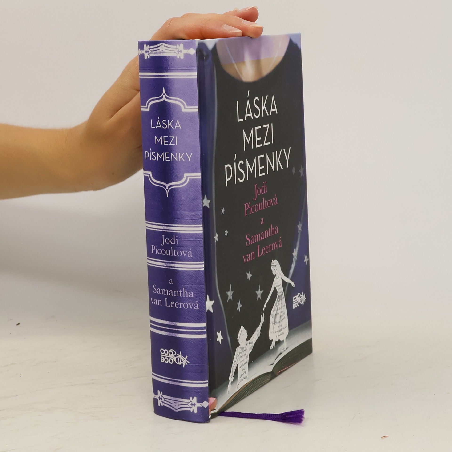 Jodi Picoult Láska mezi písmenky