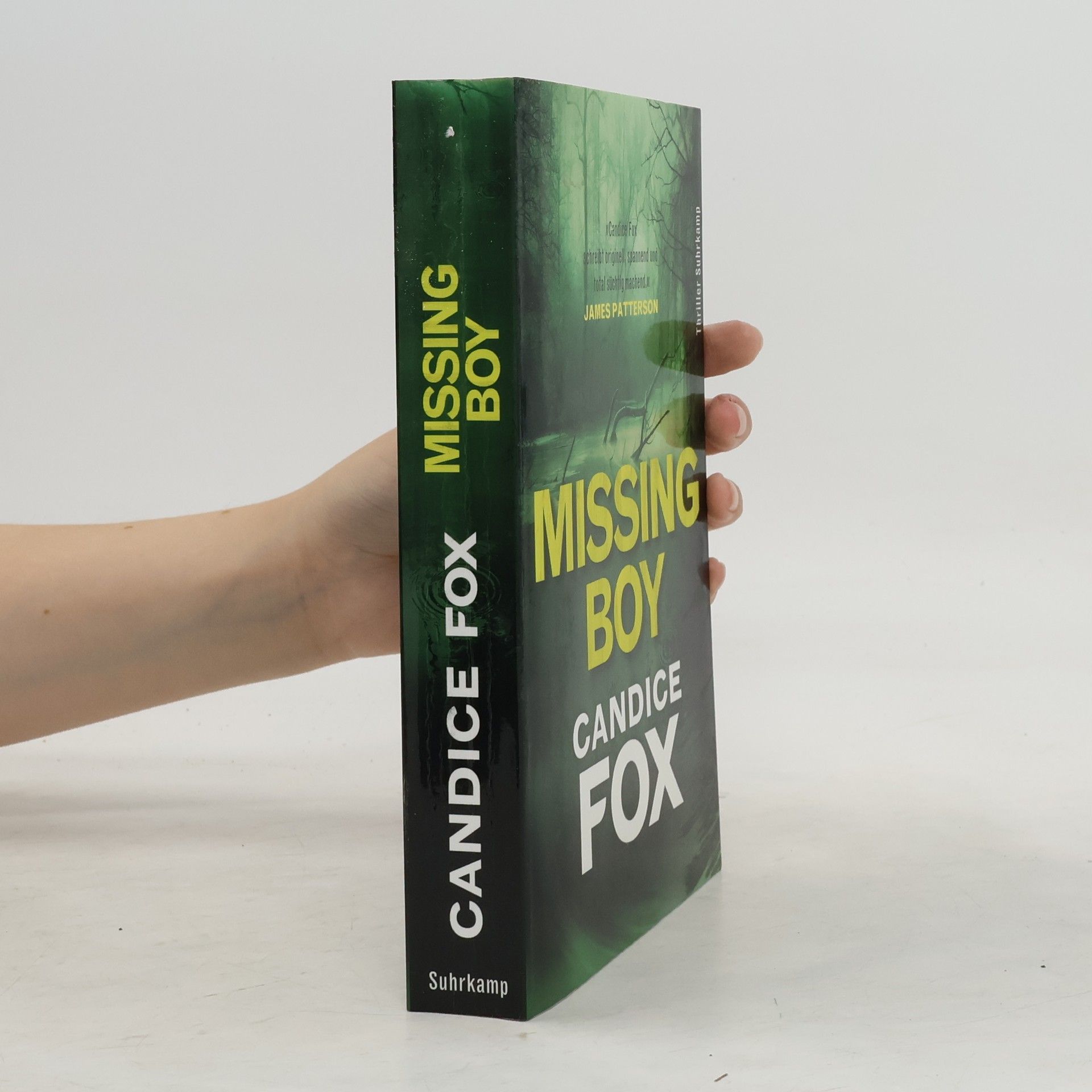 Candice Fox Missing boy