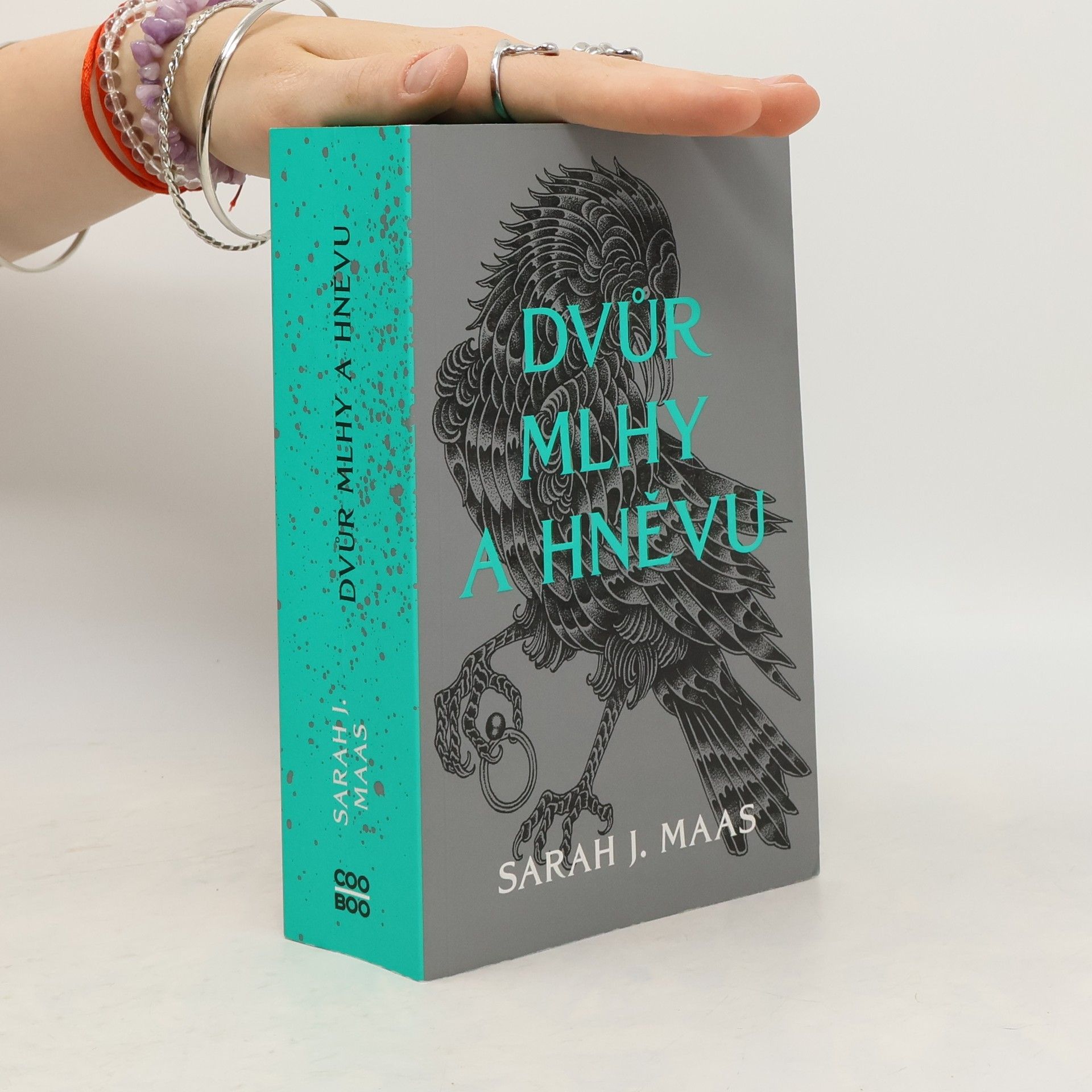 Sarah J. Maas Dvůr mlhy a hněvu