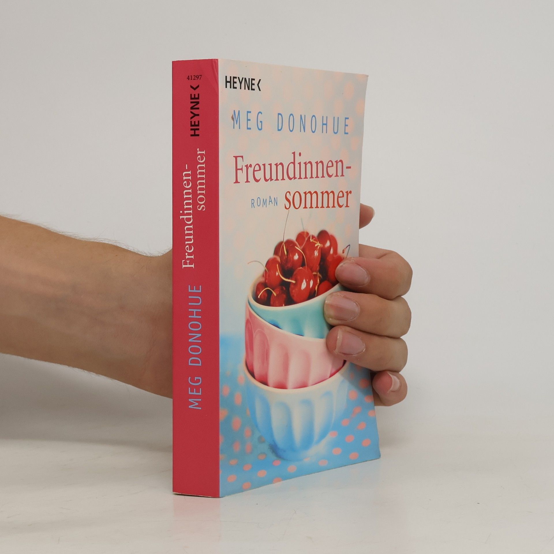 Meg Donohue Freundinnensommer