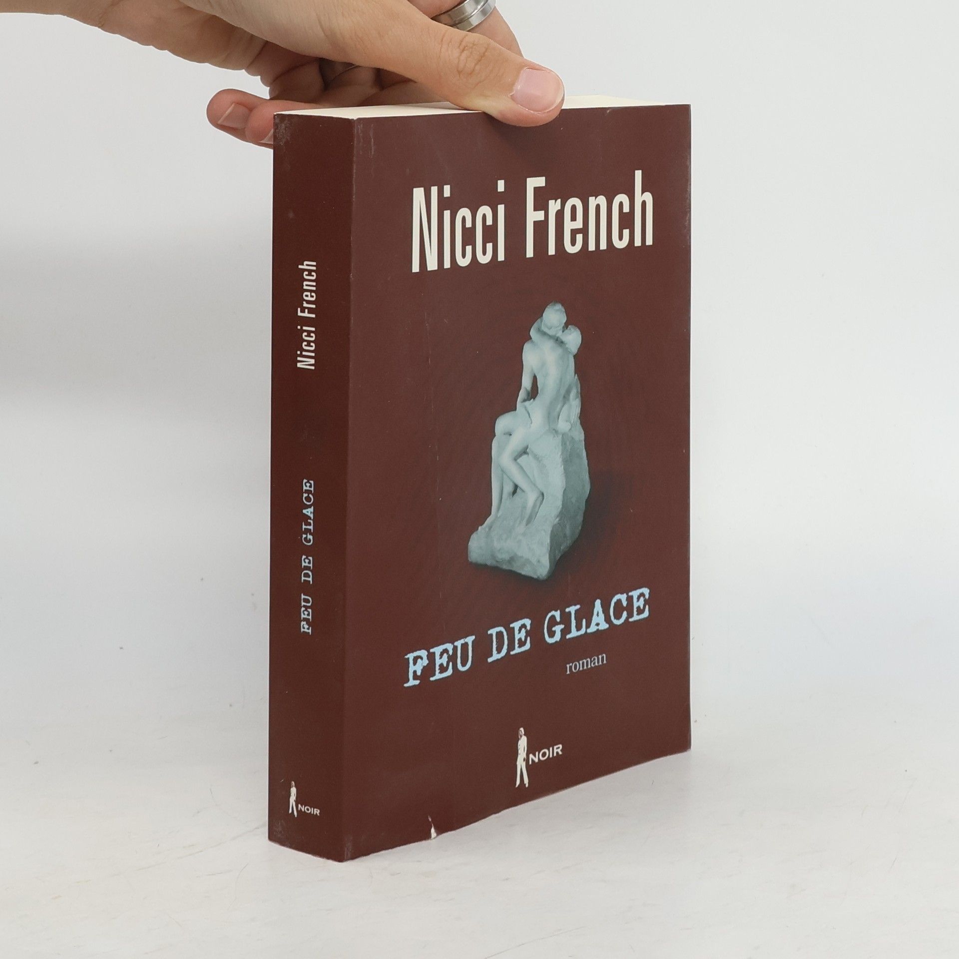 Nicci French Feu de glace