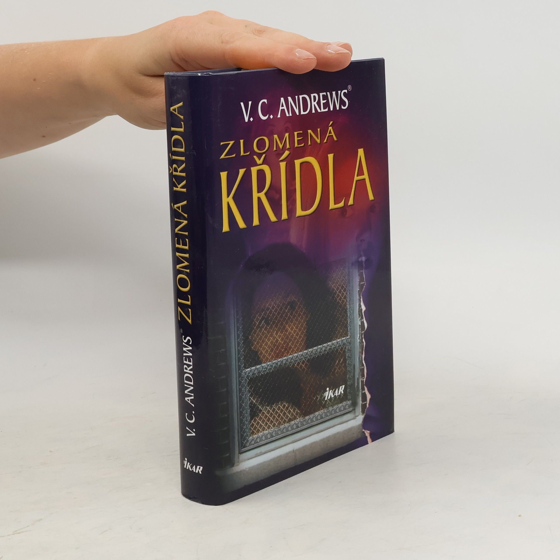 Virginia Cleo Andrews Zlomená křídla