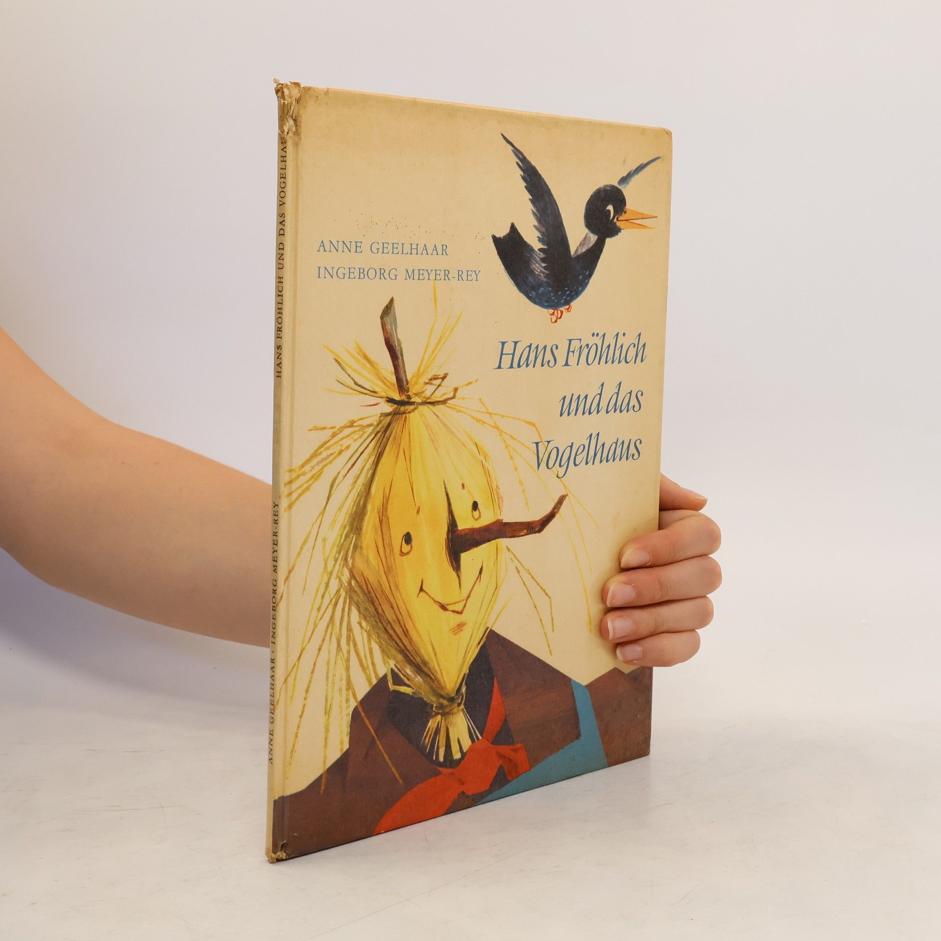 Anne Geelhaar Hans Fröhlich und das Vogelhaus