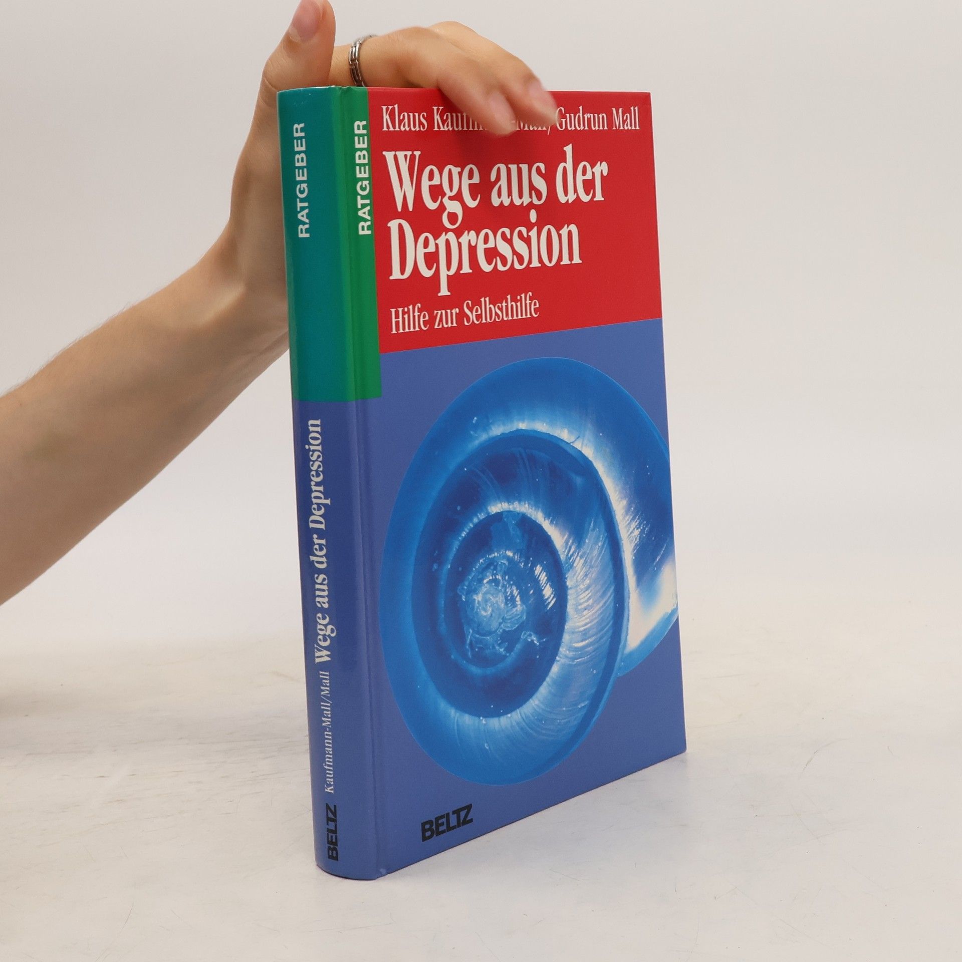 Klaus Kaufmann-Mall Wege aus der Depression
