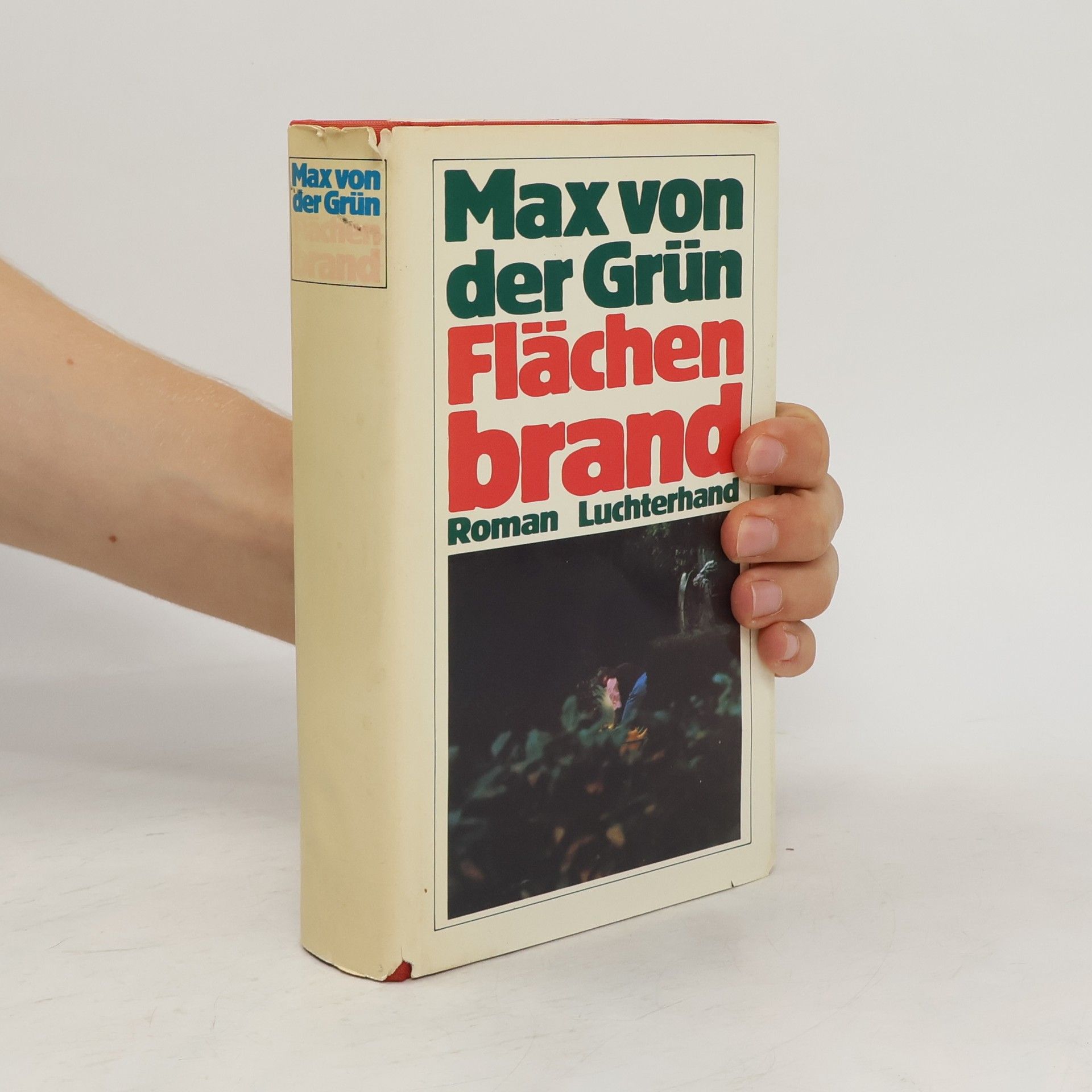 Max von der Grün Flächenbrand : Roman
