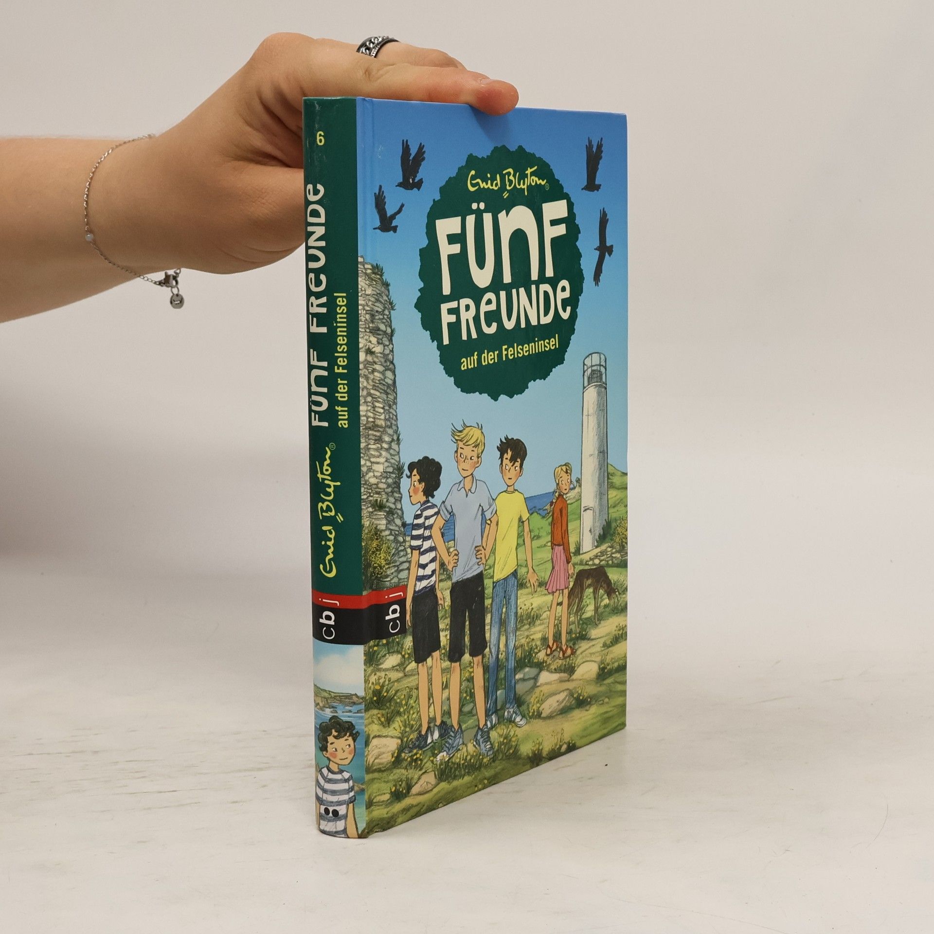 Enid Blyton Fünf Freunde auf der Felseninsel